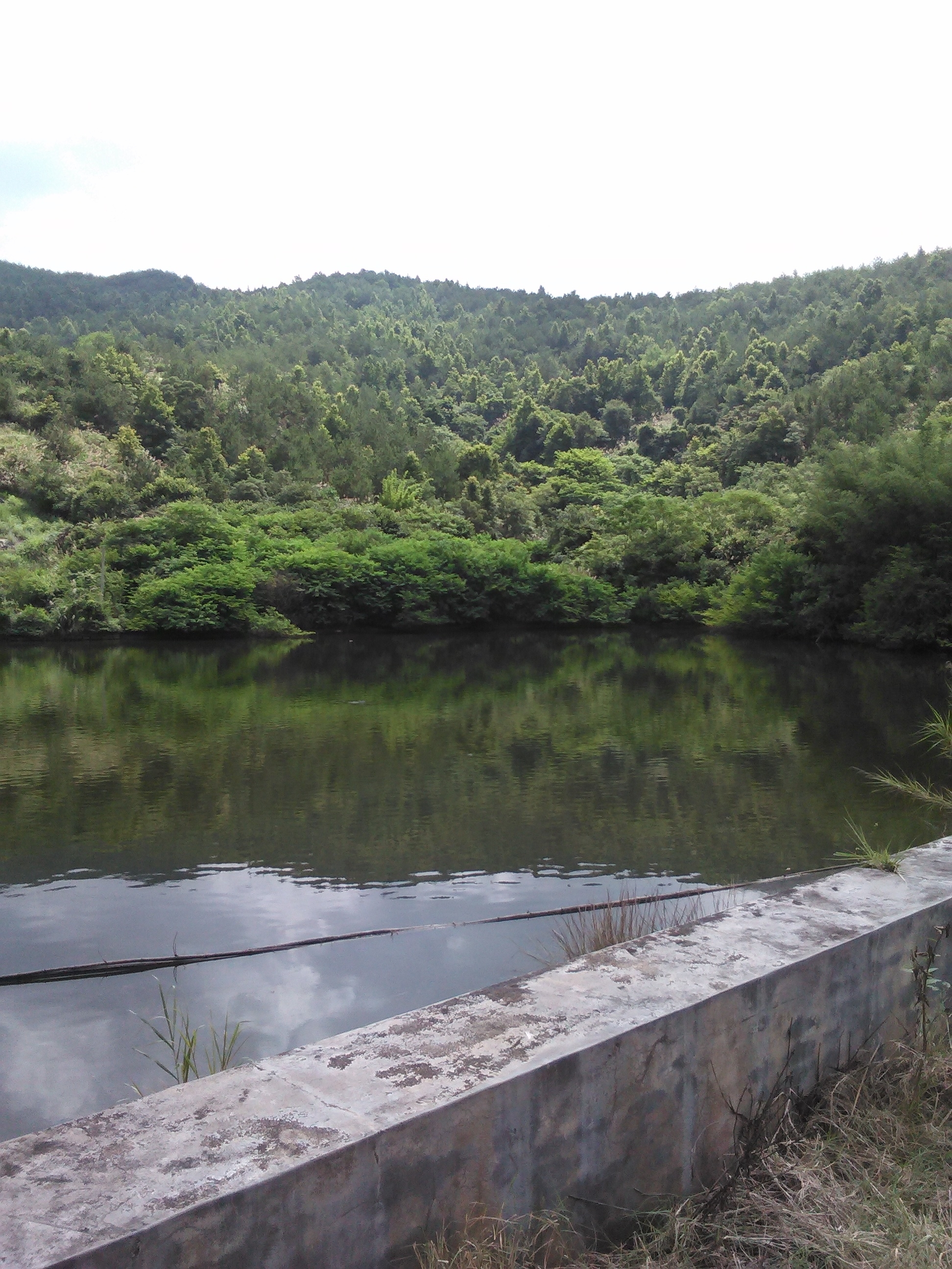 荷树岗水库