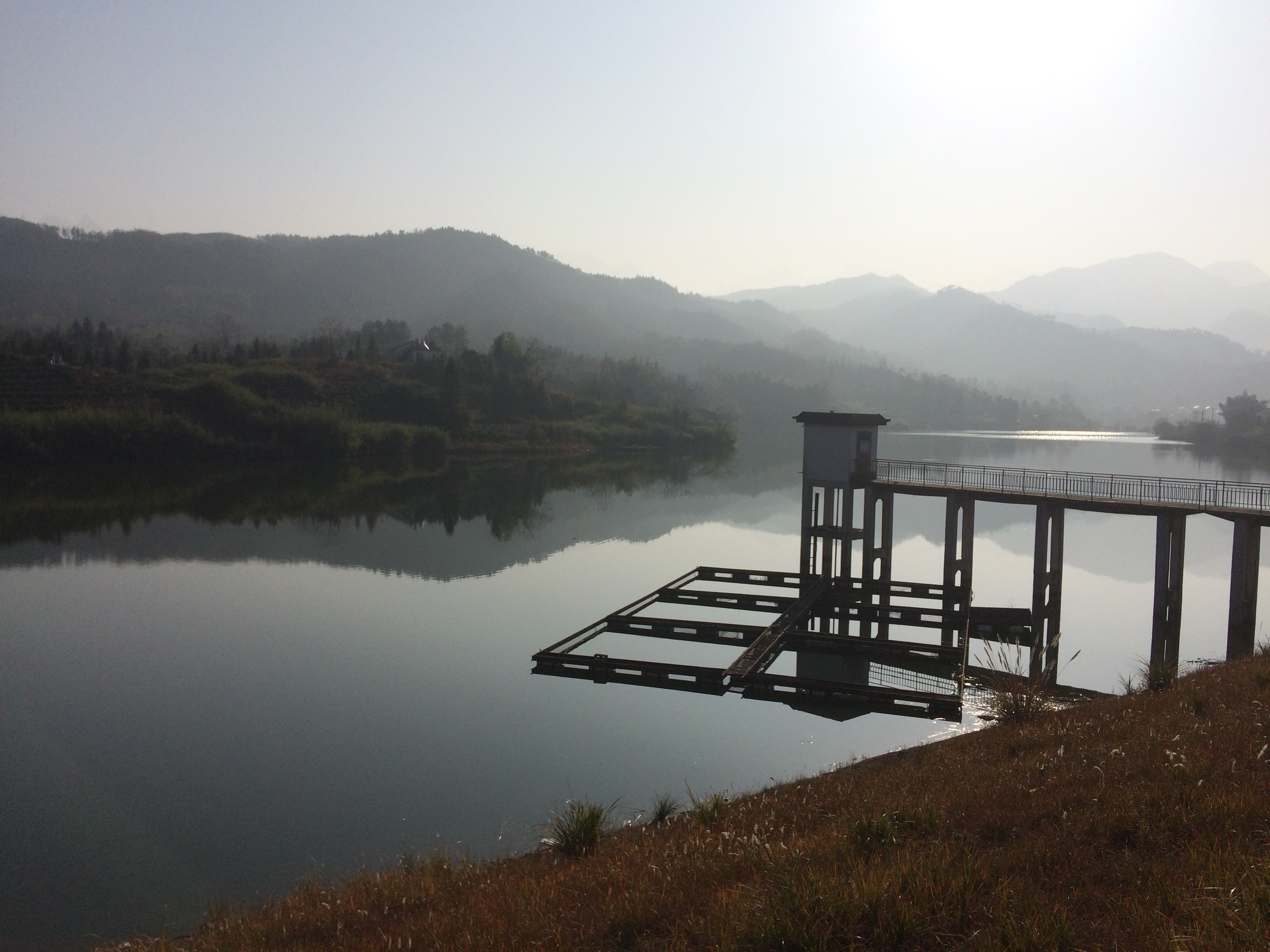 鲤鱼山水库