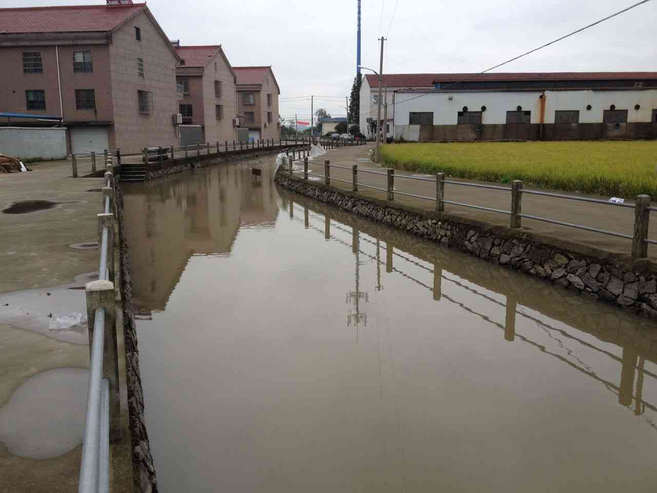 后江村内河