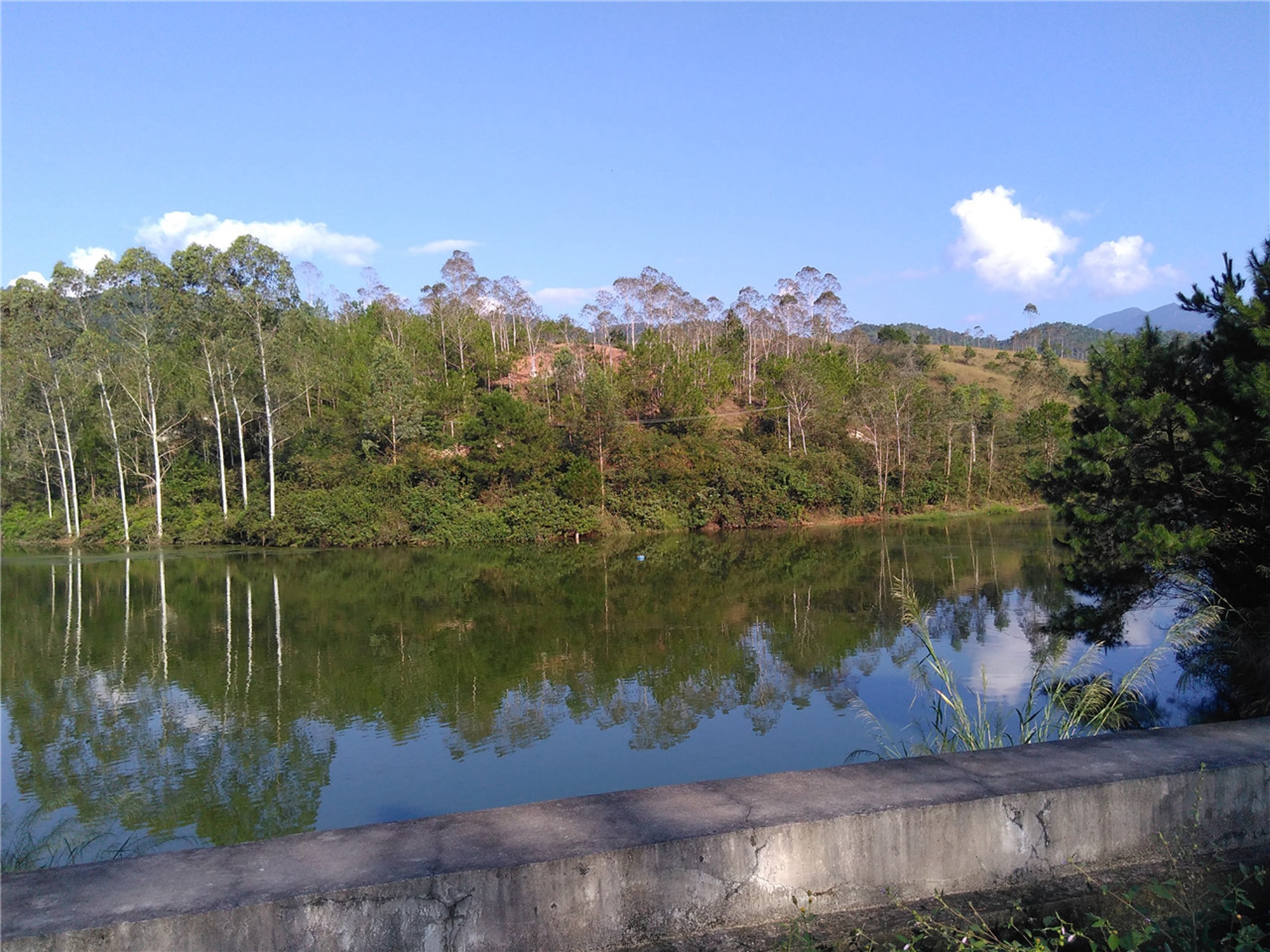 杉坑水库