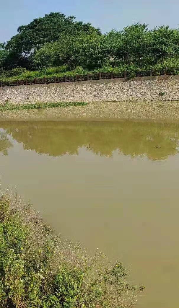 马巢河