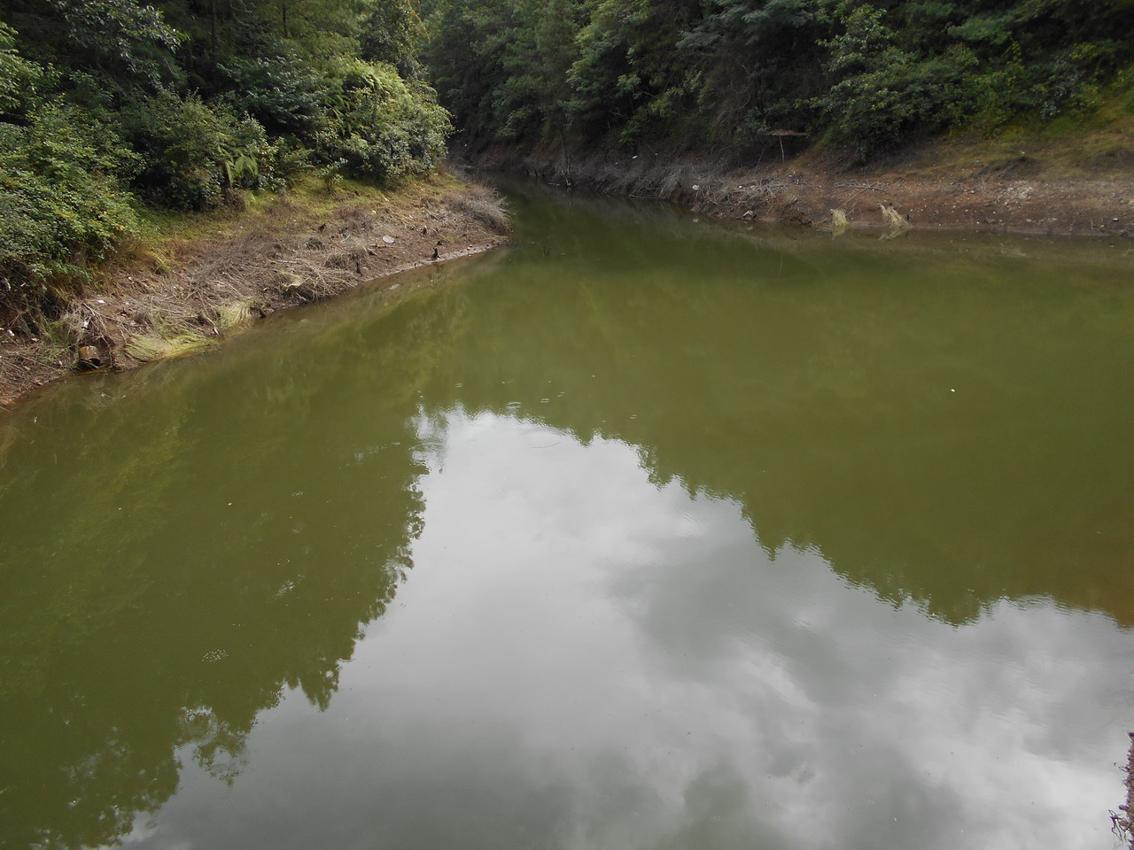 水头箐水库