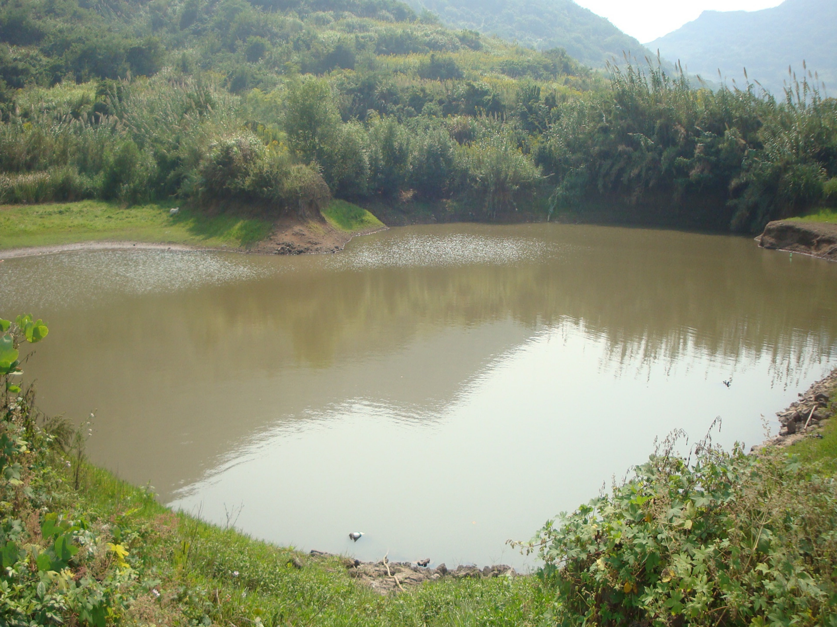 陈家老坑水库