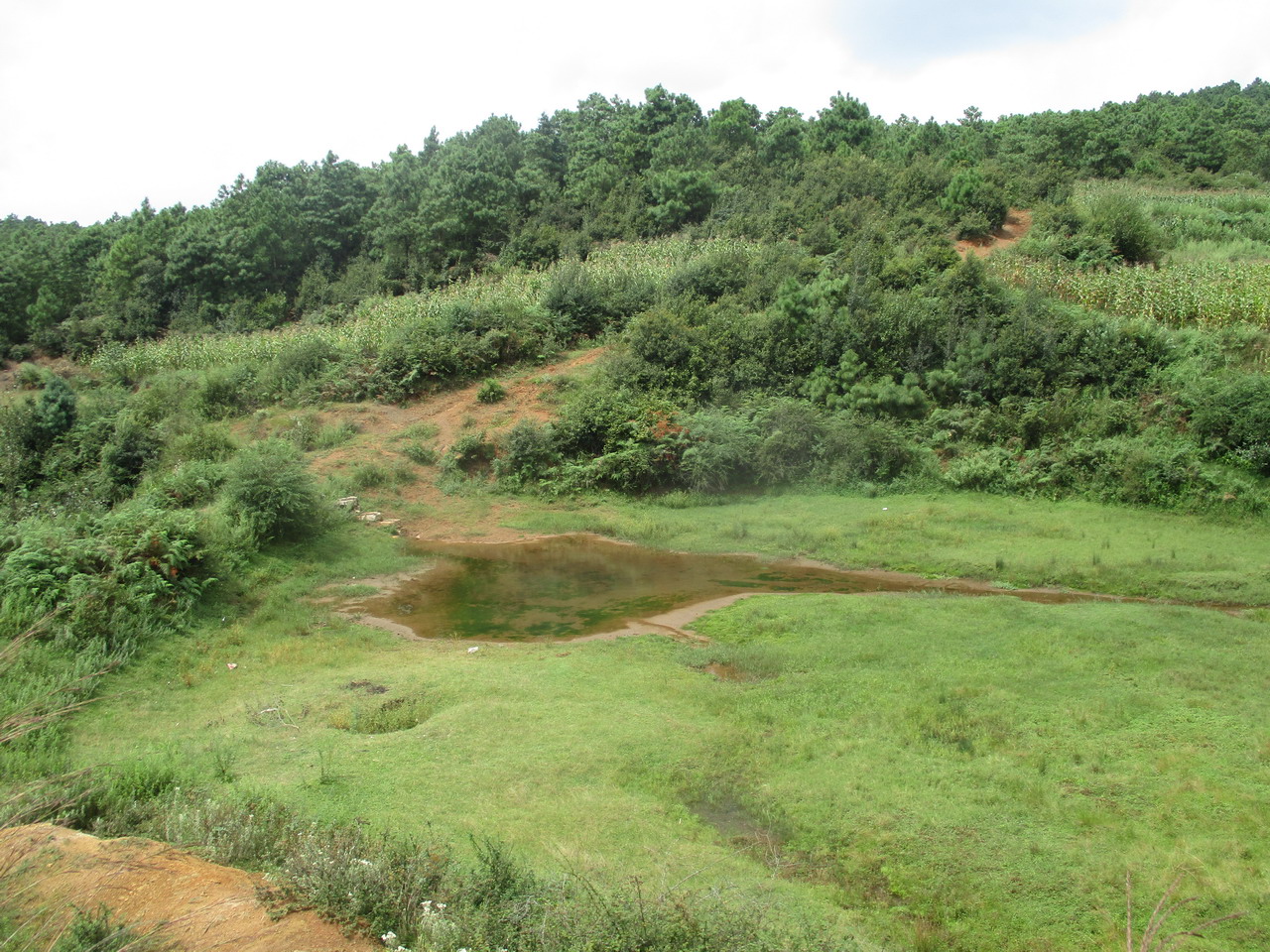 秧田冲大闸