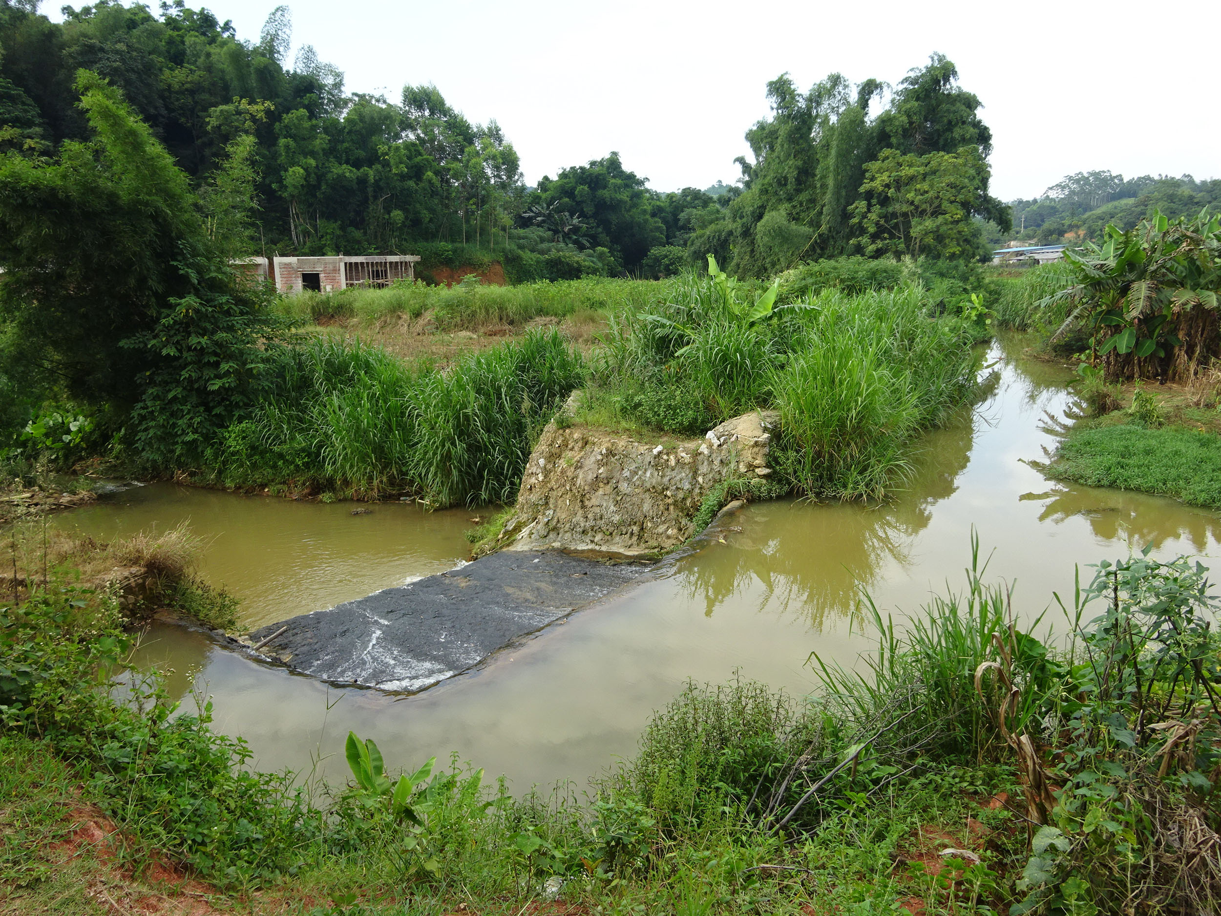 白那河