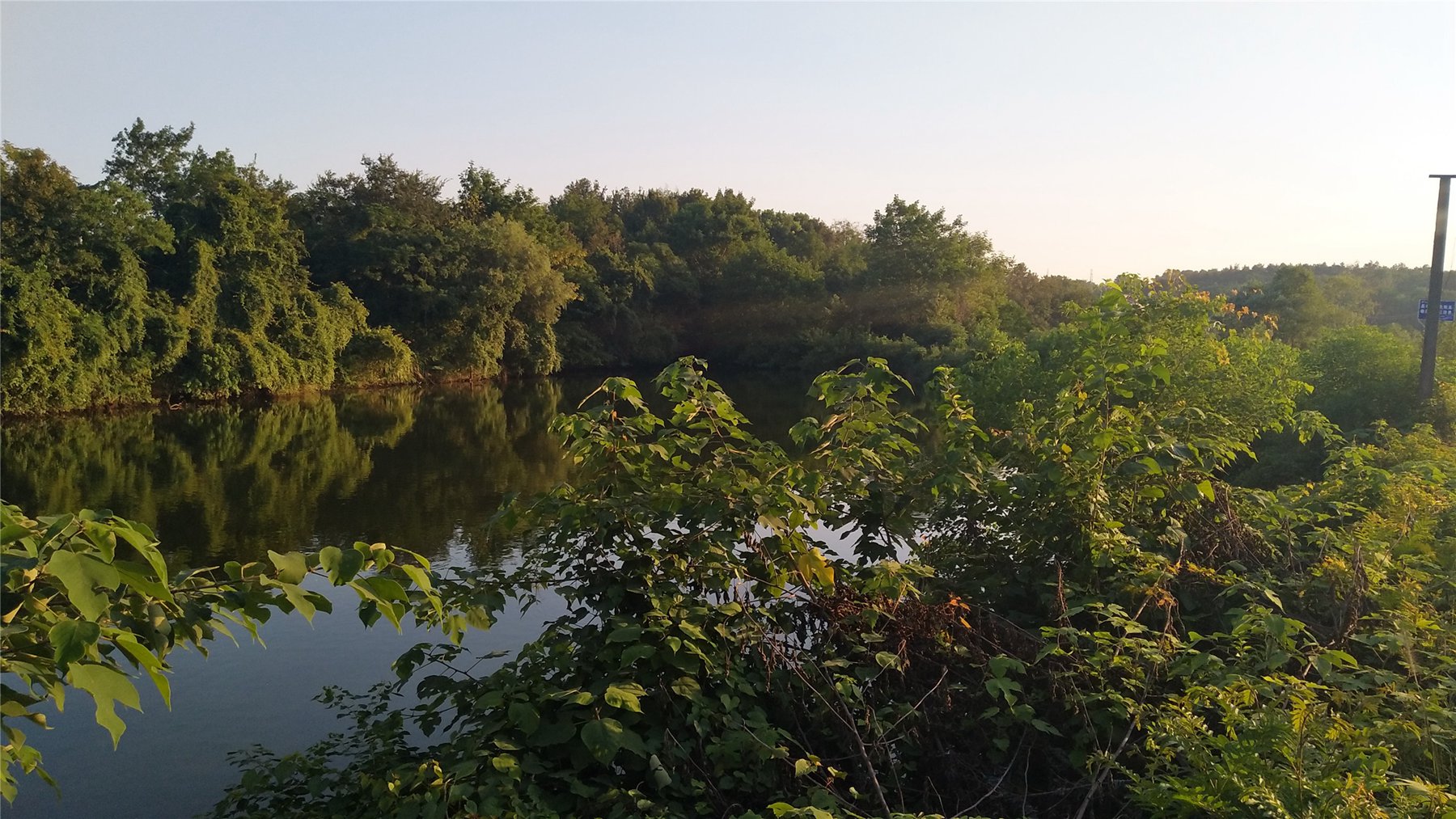 竹林水库