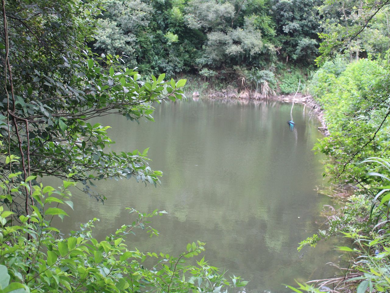 盐厂平地水库