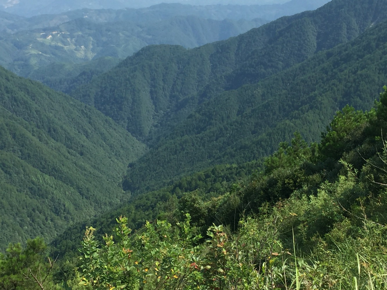 大业坑自然风景区