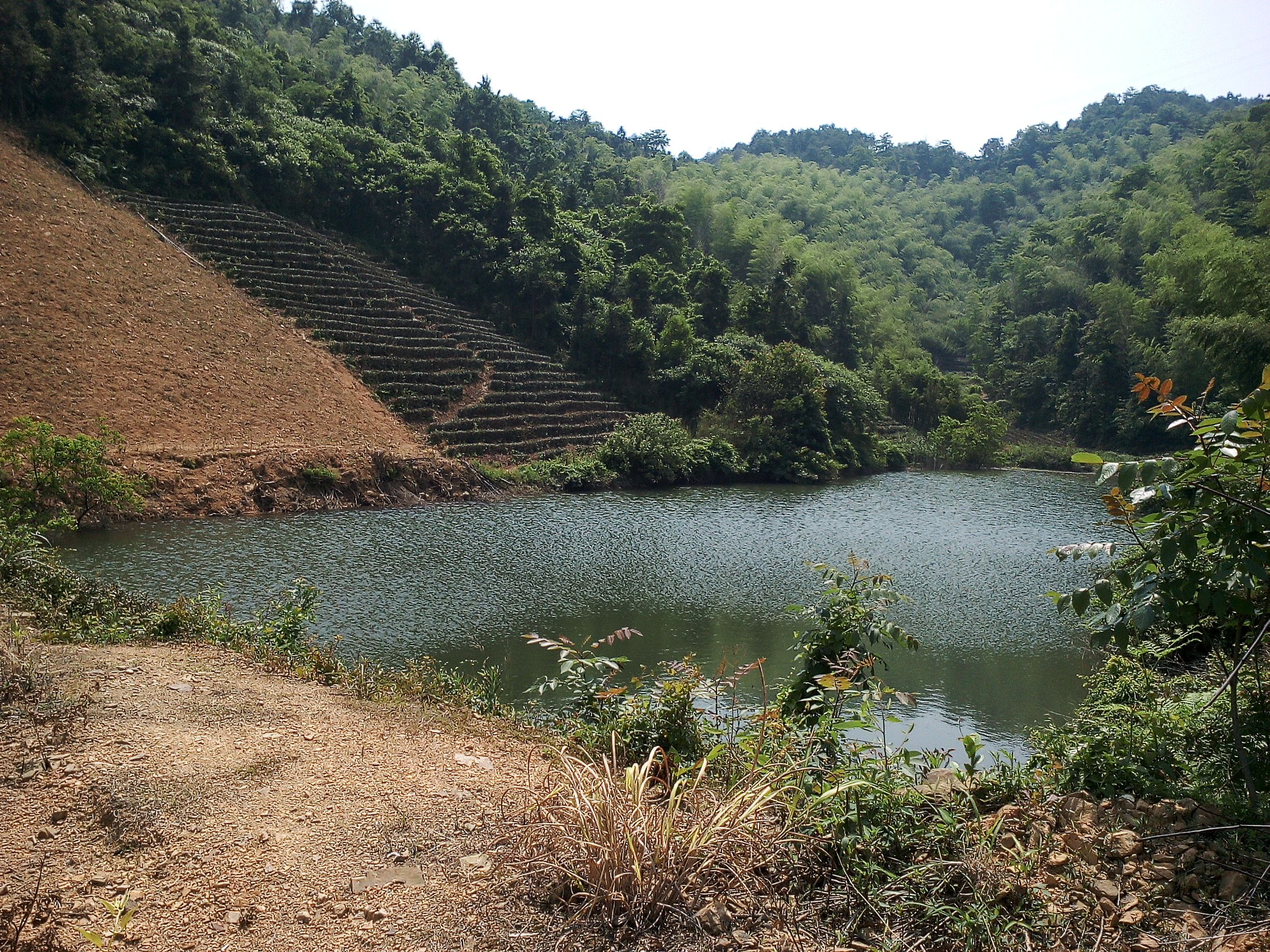 塘家坞山塘水库