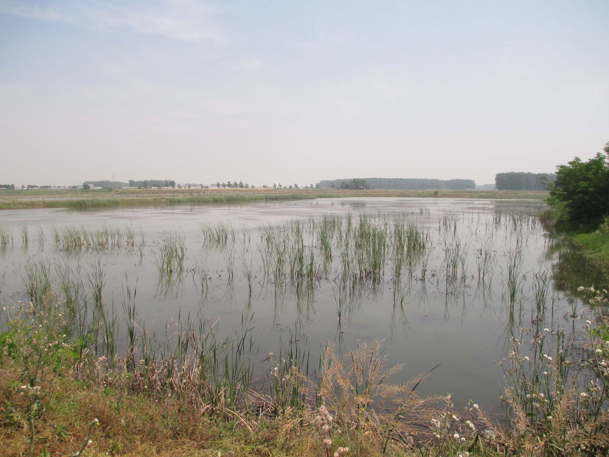 荒塘坝水库