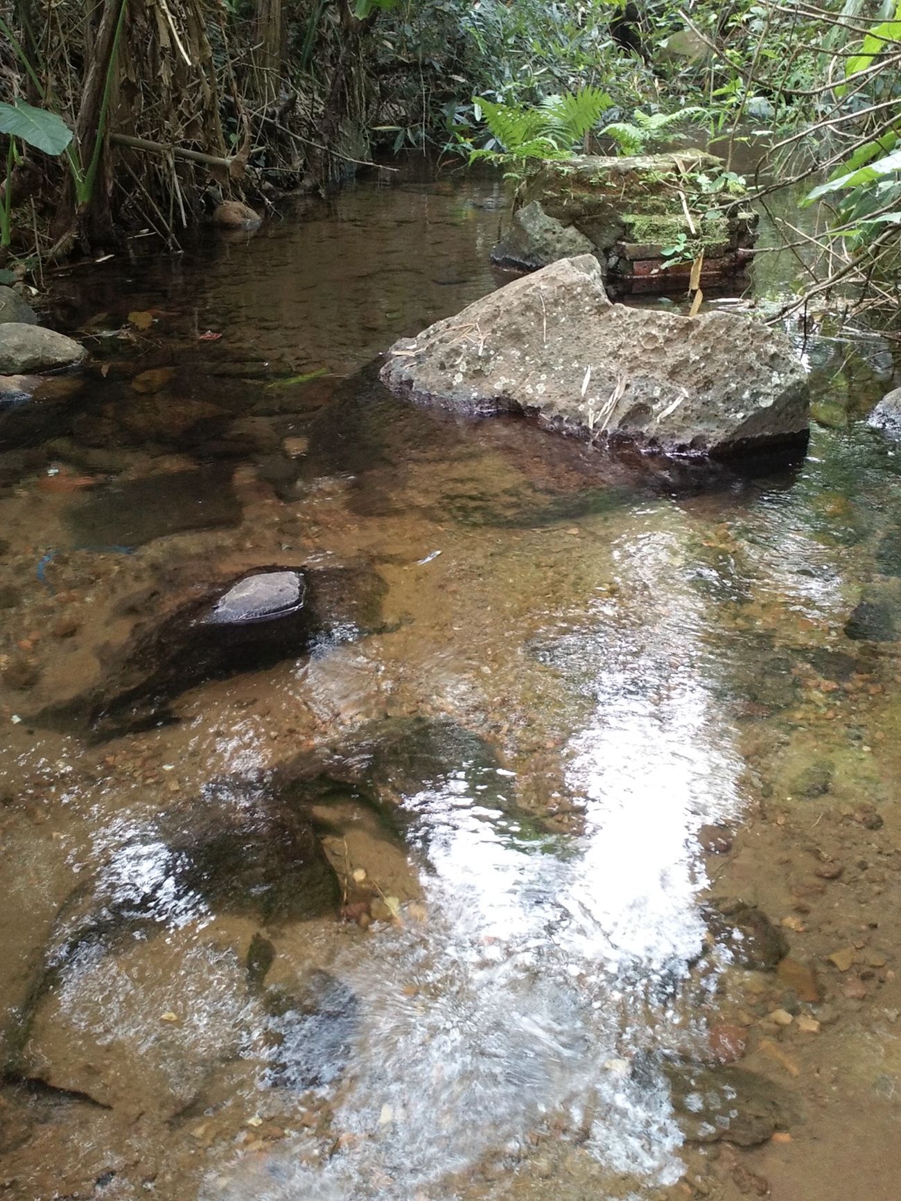 沟头泉