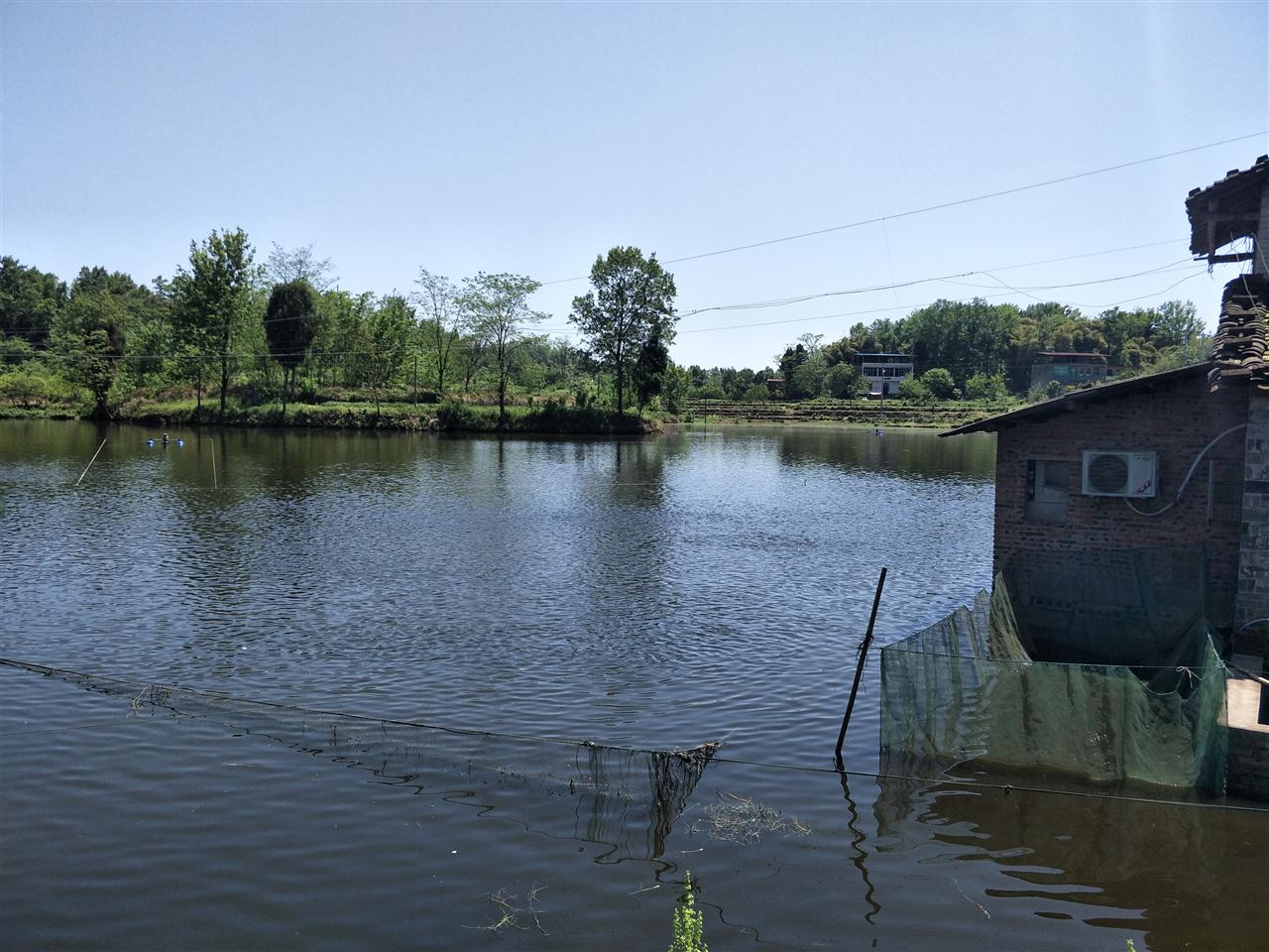 杨河口水库