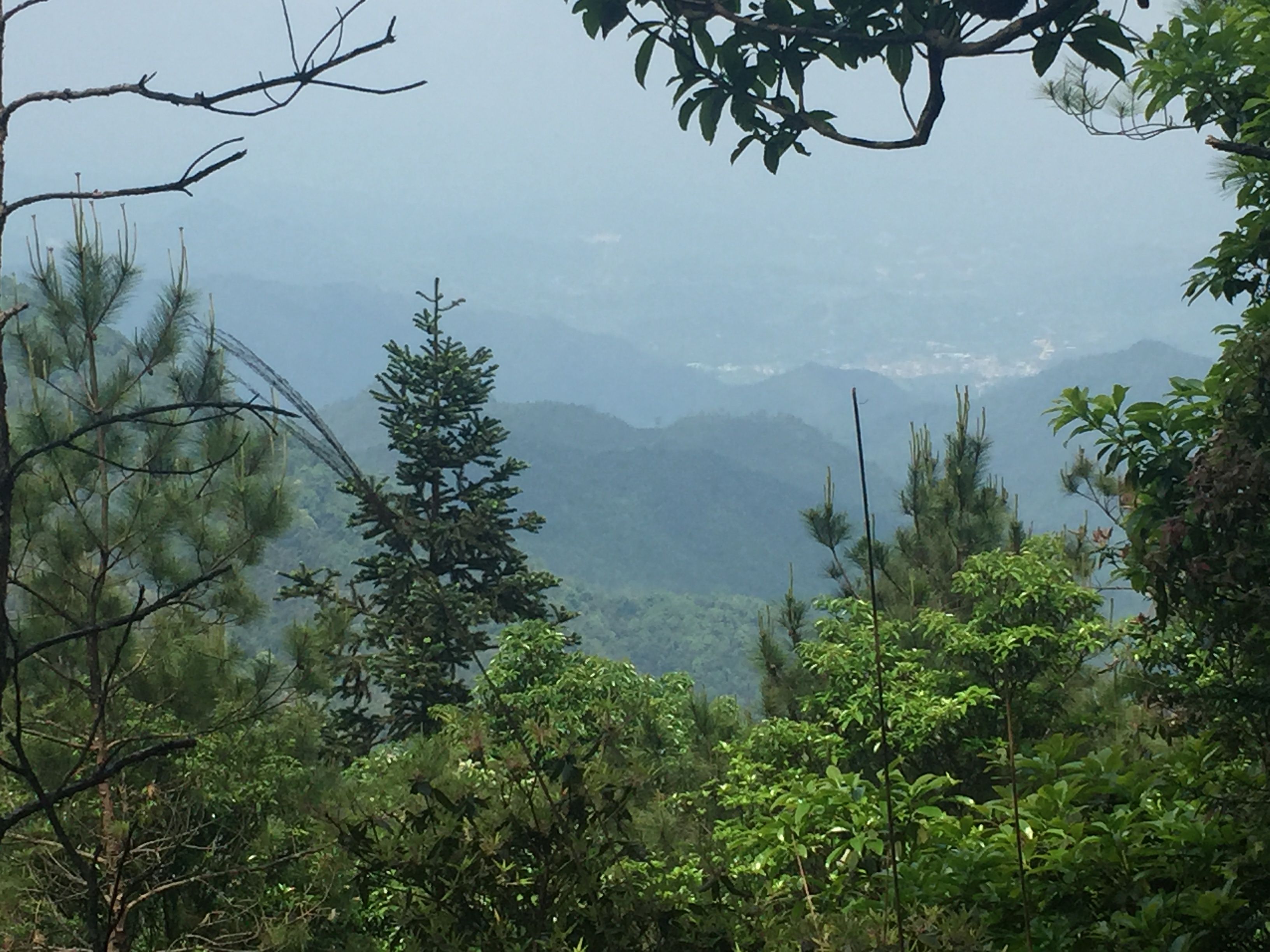 日出高地