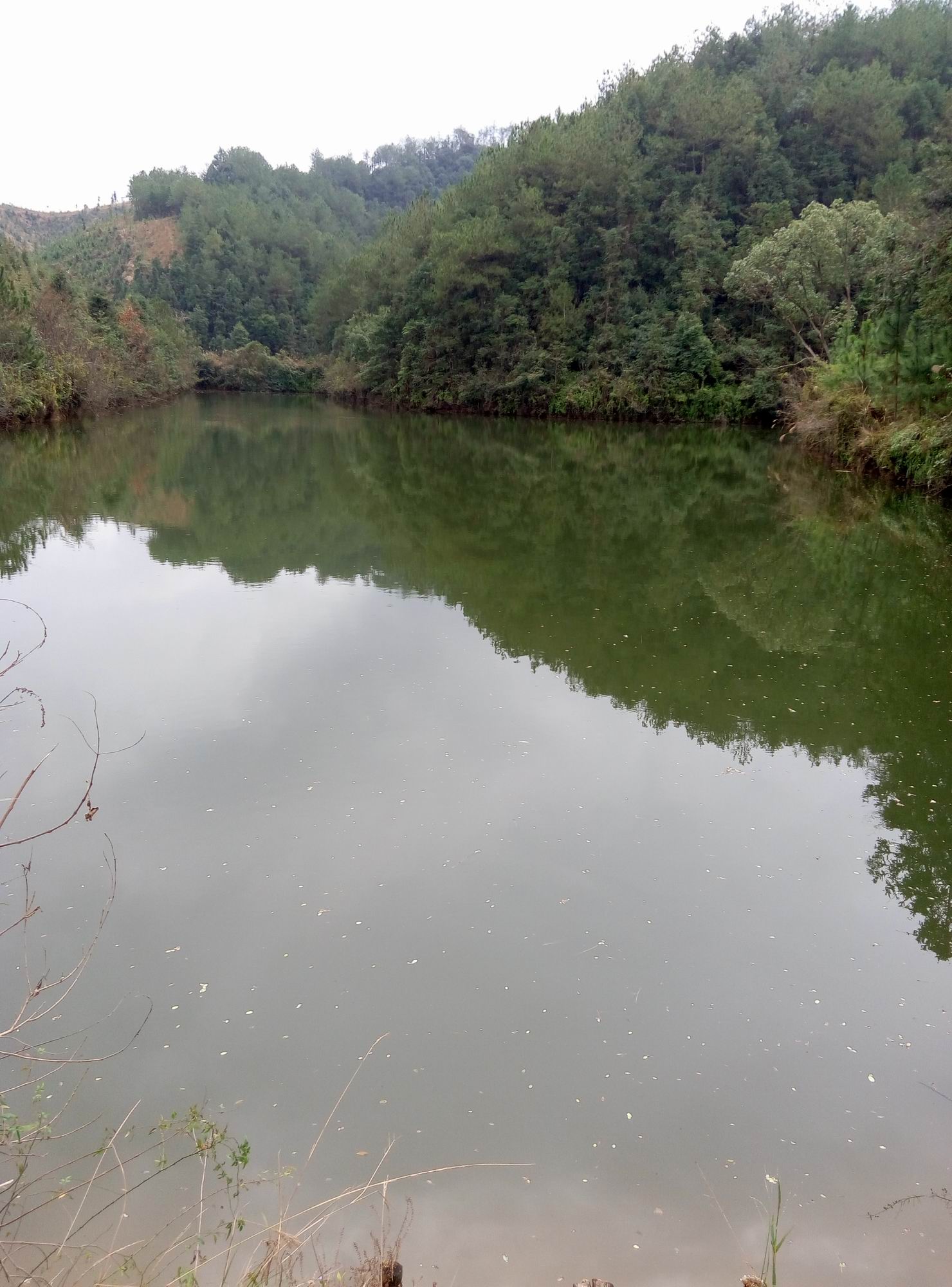 洞高水库