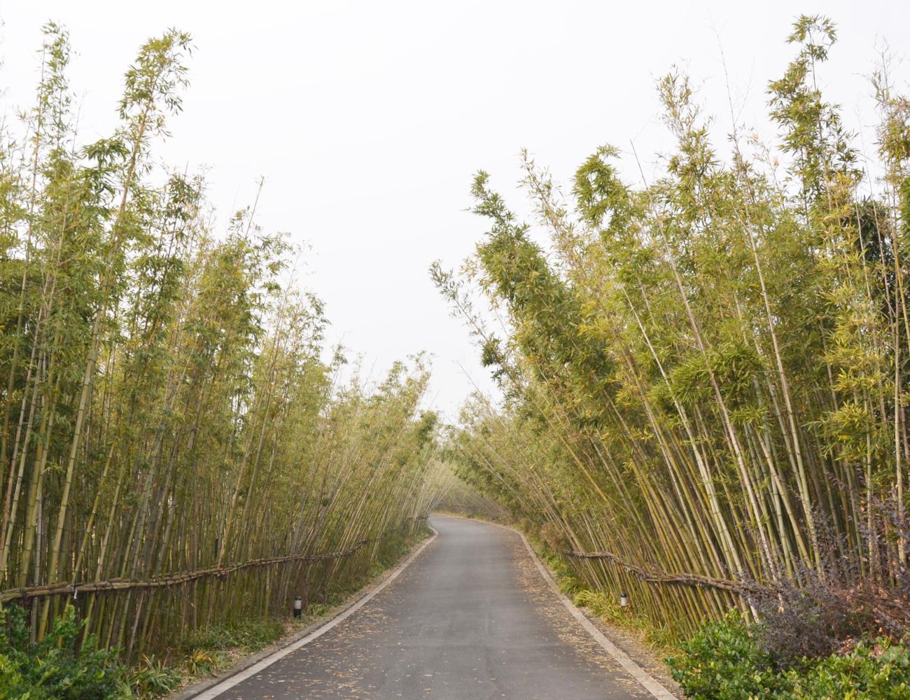 牟山湖休闲度假区