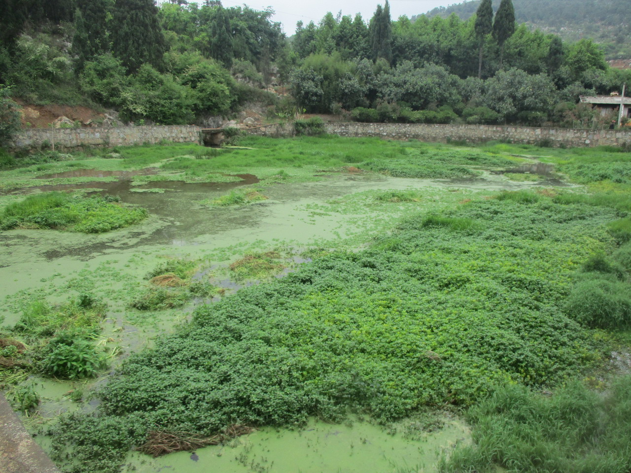 上法雨村响水龙潭