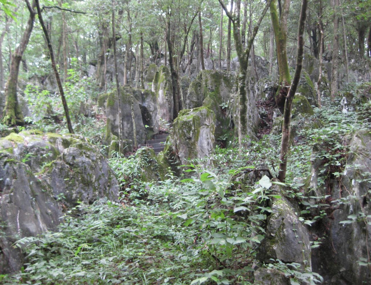 龙塘山