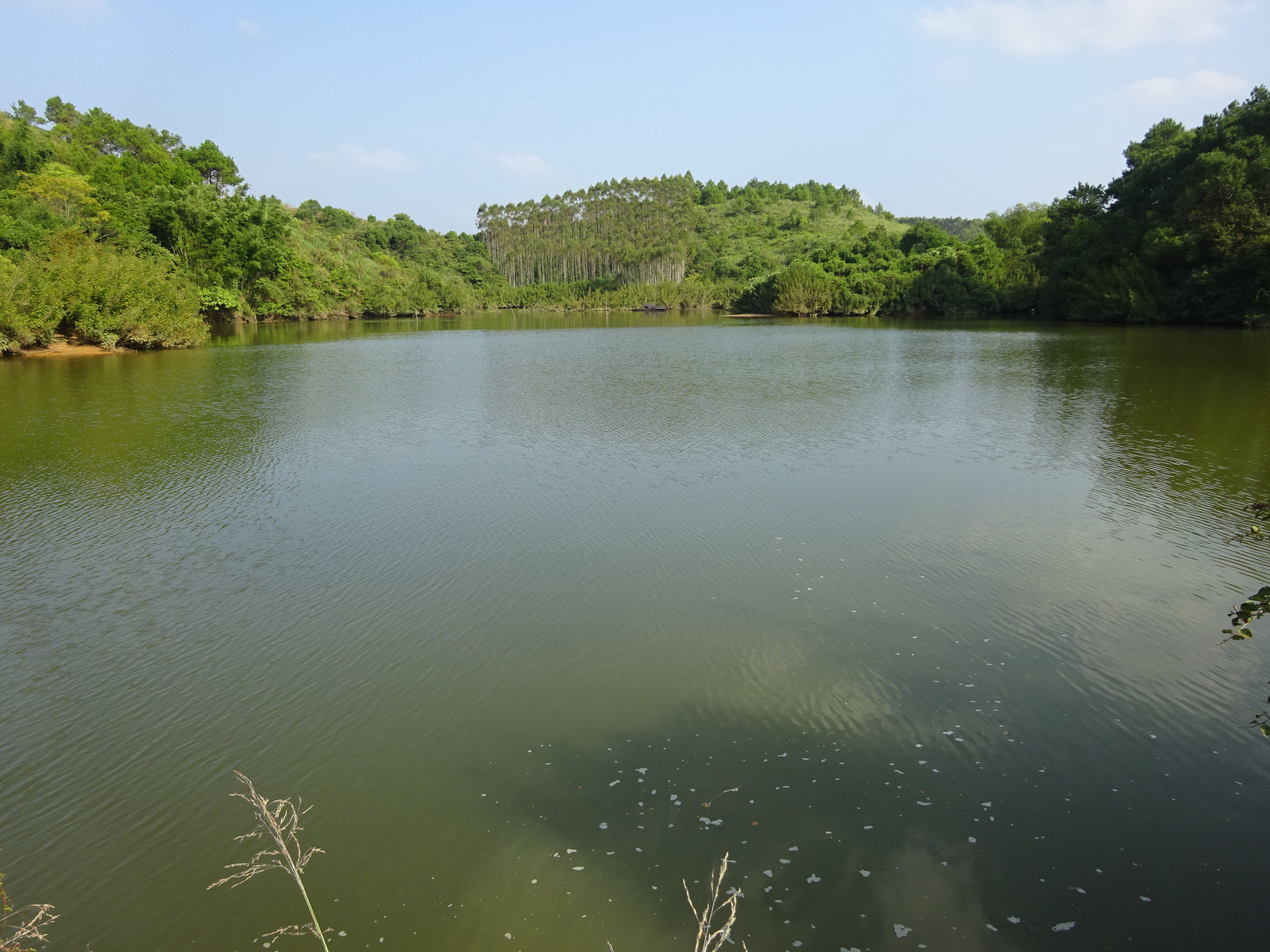 冲利河