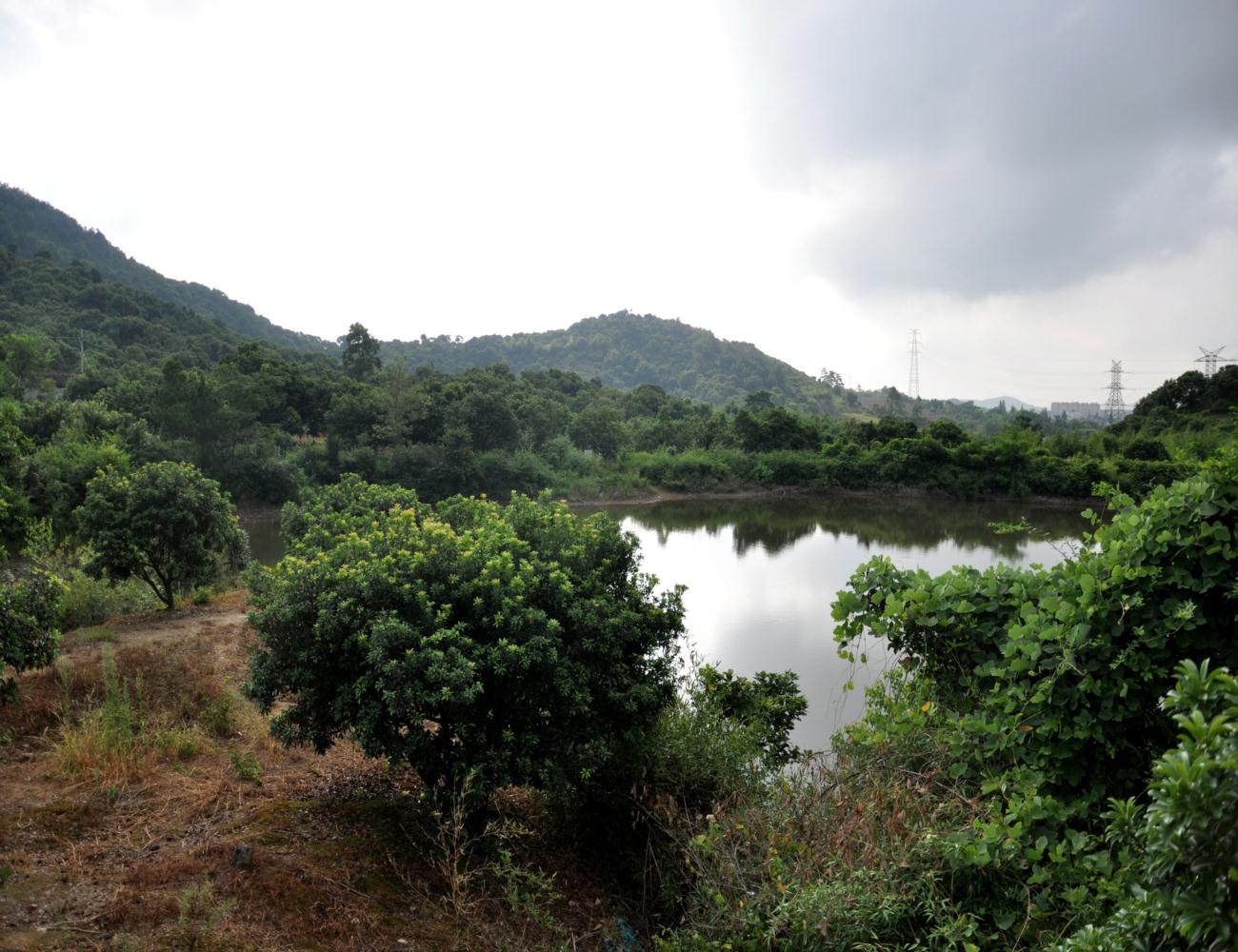 凤眼岙水库