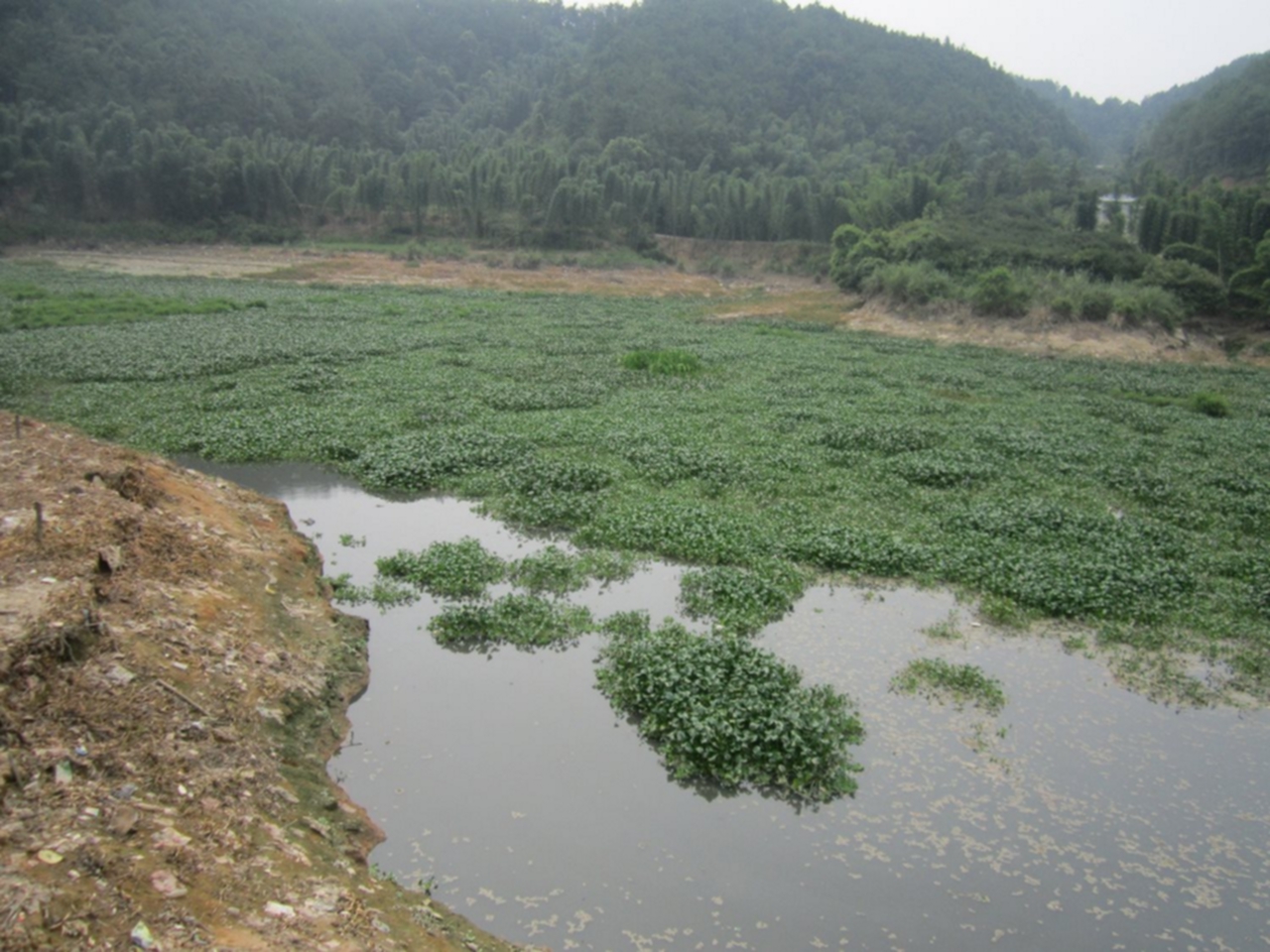 斜溪库湾