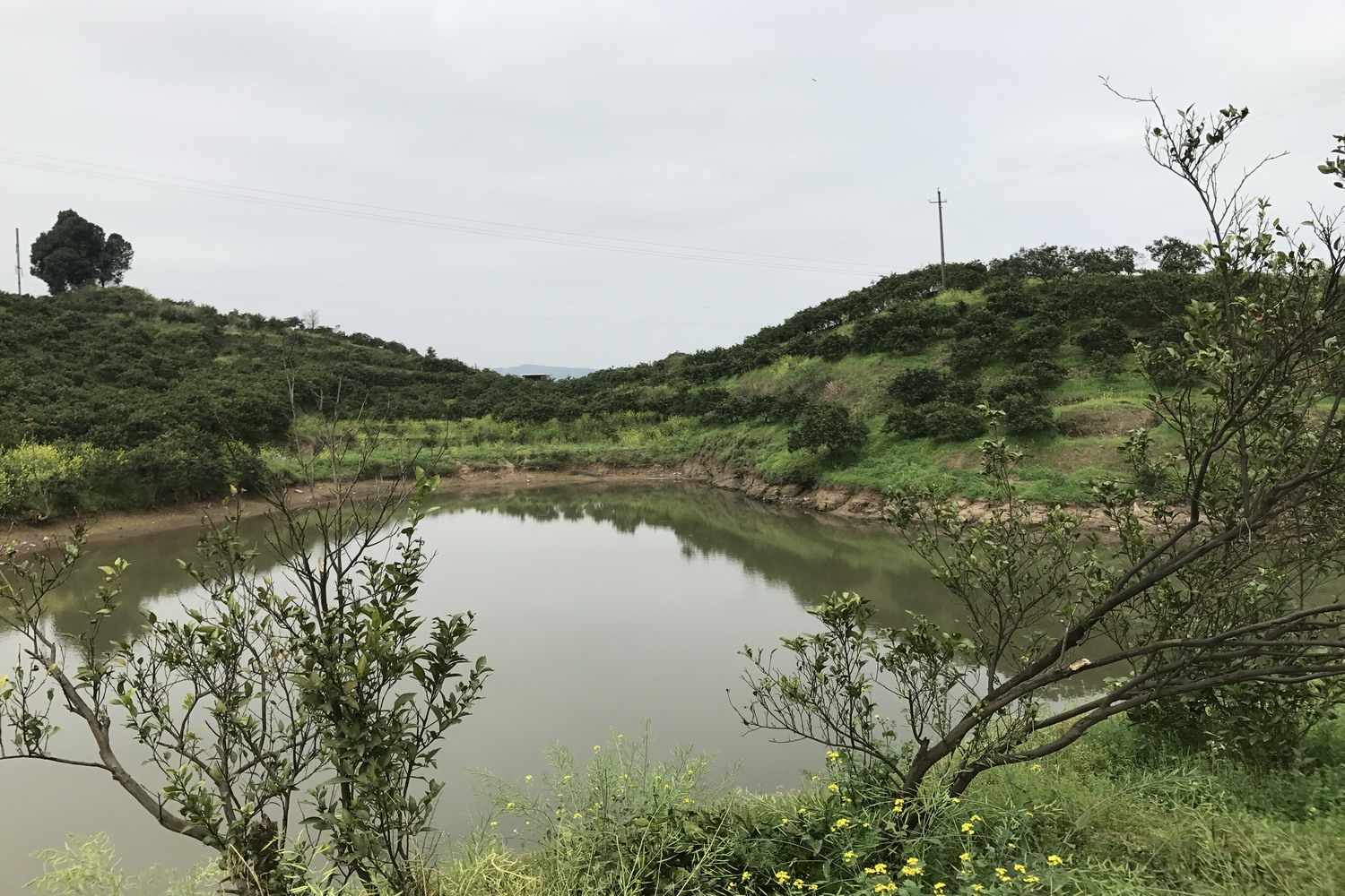 山背水库