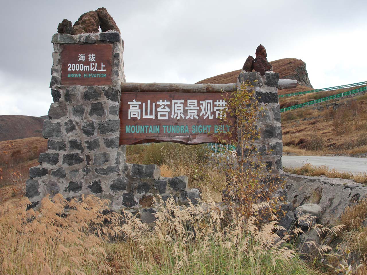 高山苔原景观带