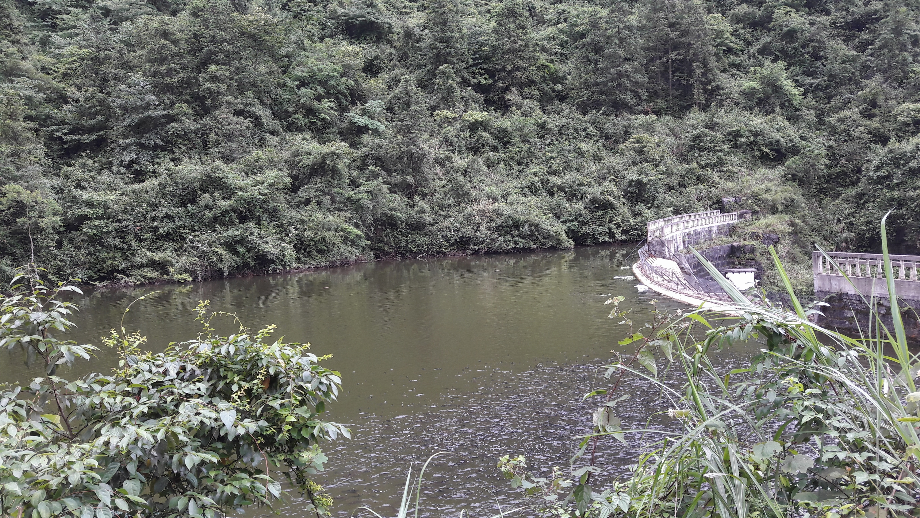 黑冲村光明水库