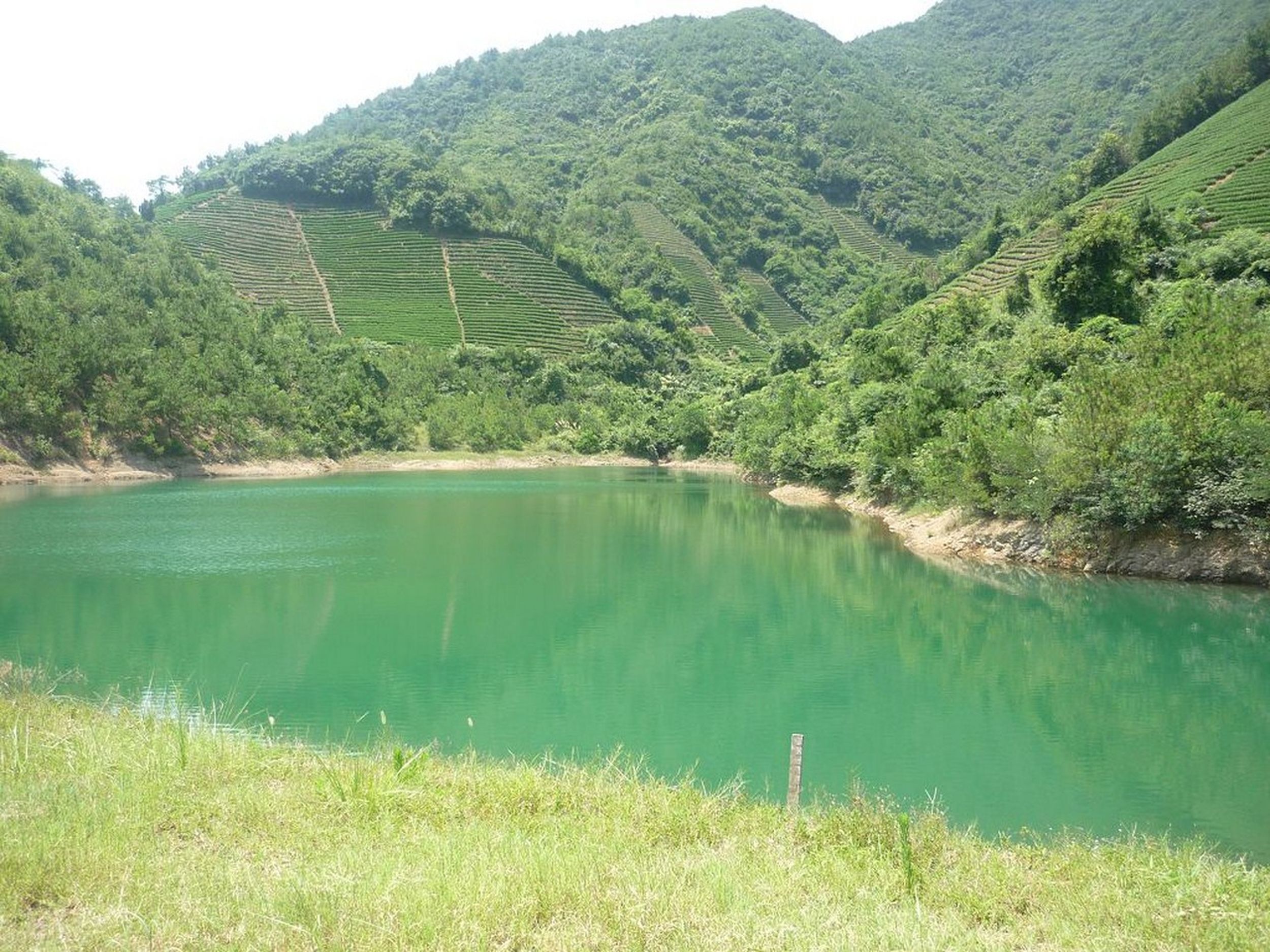 大青坞水库