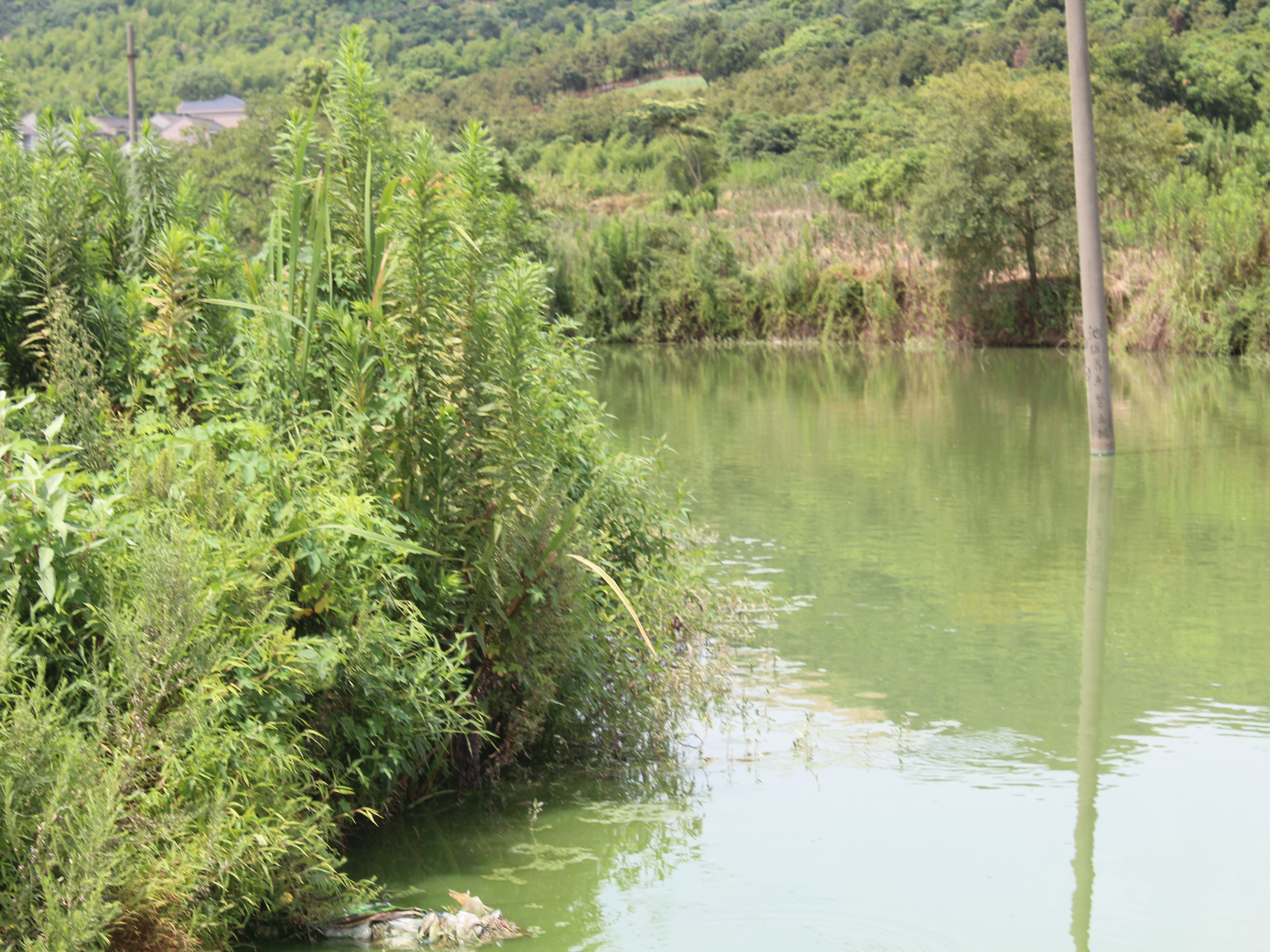 长夹岙水库