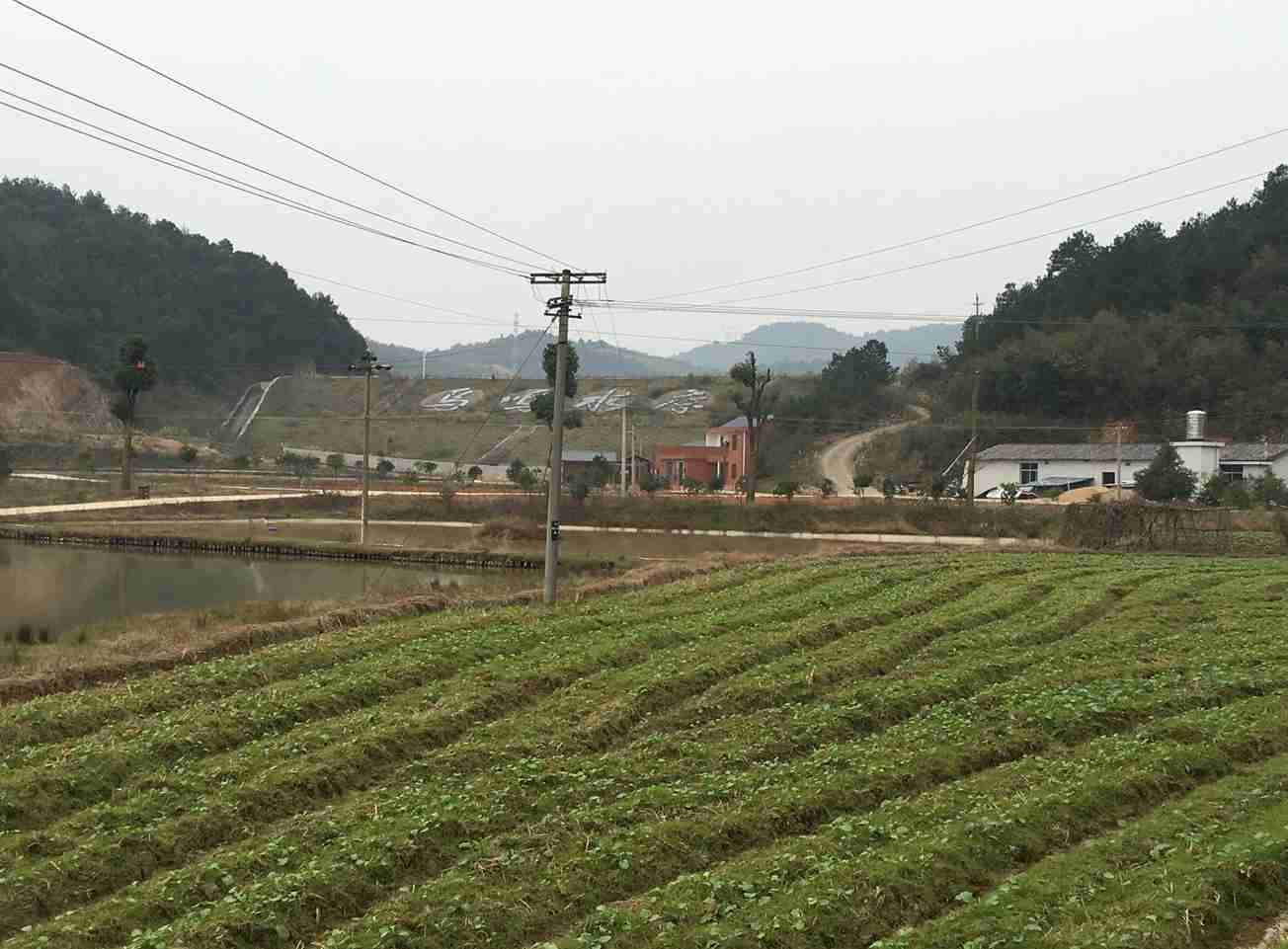 鸟鸣水库