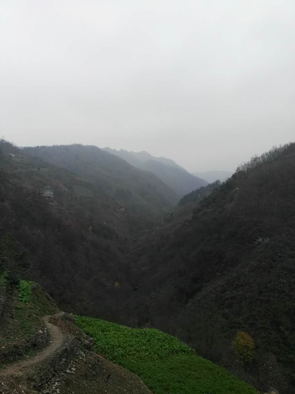 青岩溪