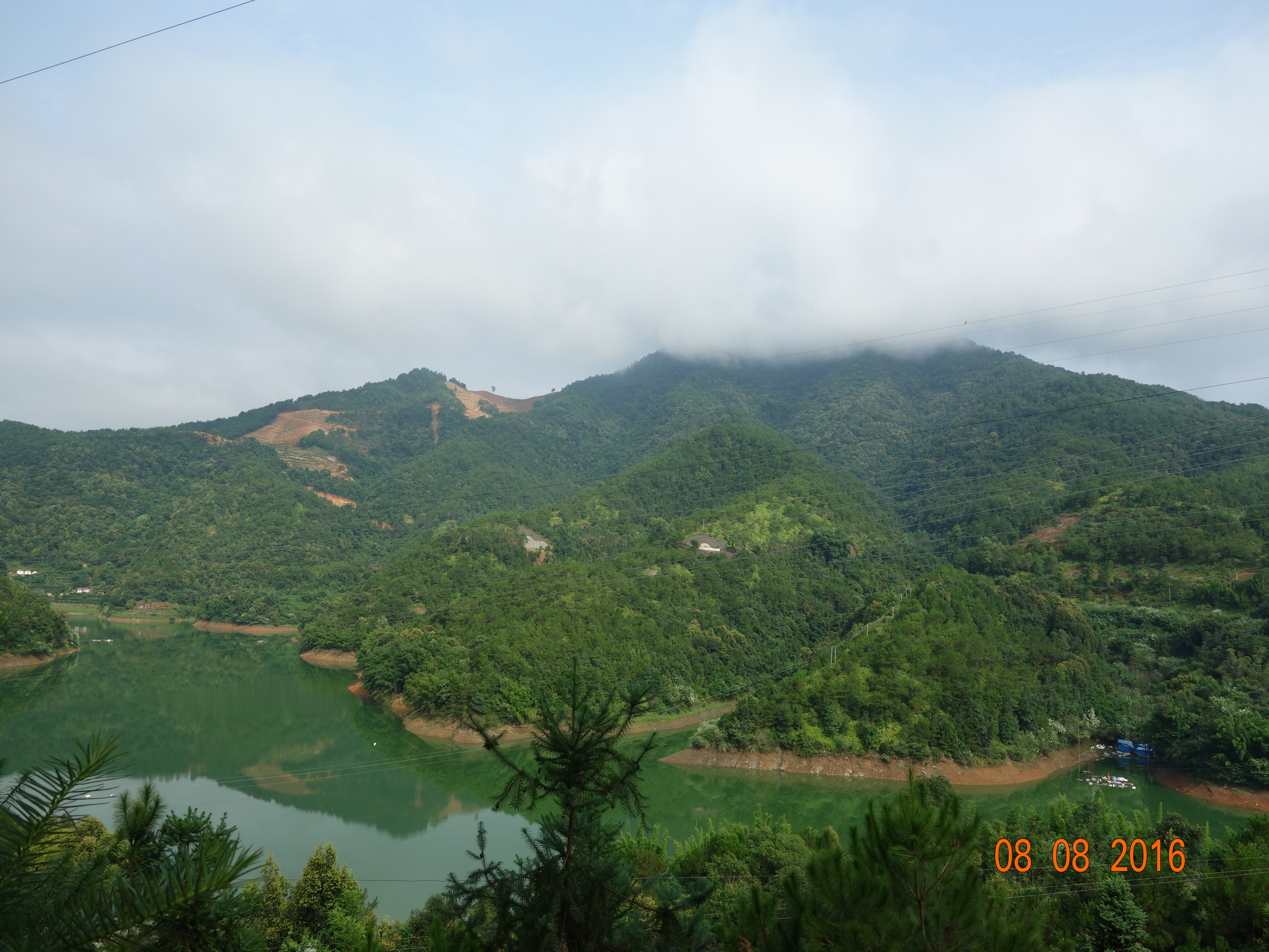 龙坪咀自然保护区