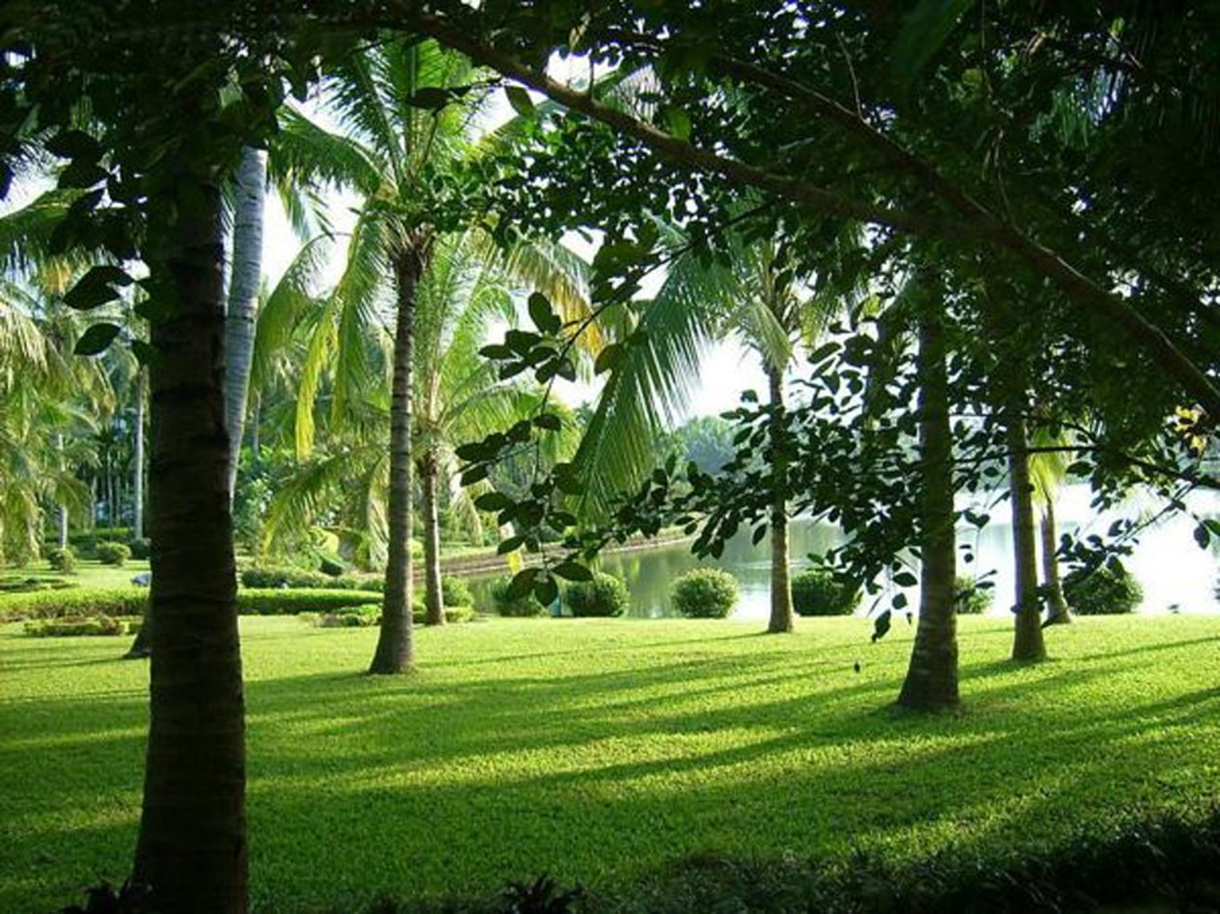 海南热带植物园