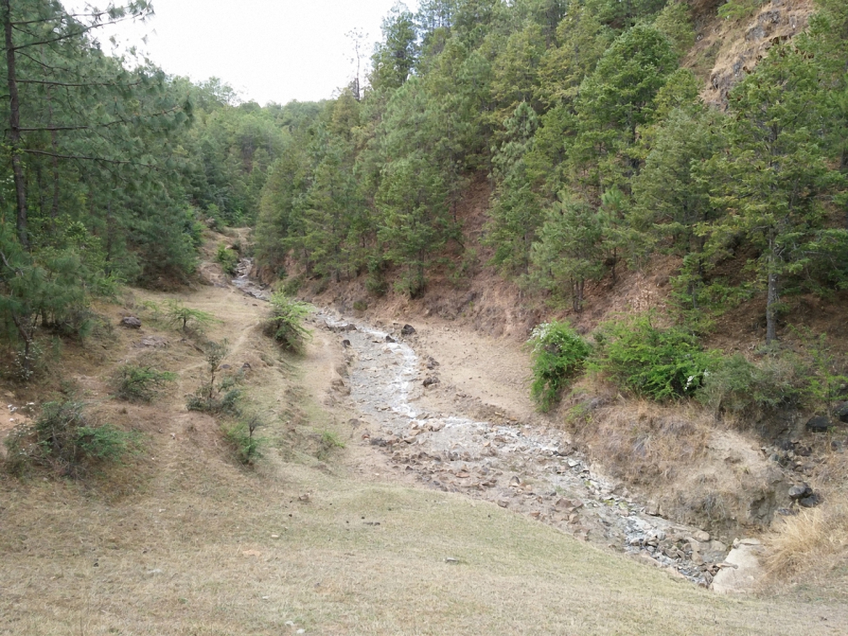 大石麦冲小水库