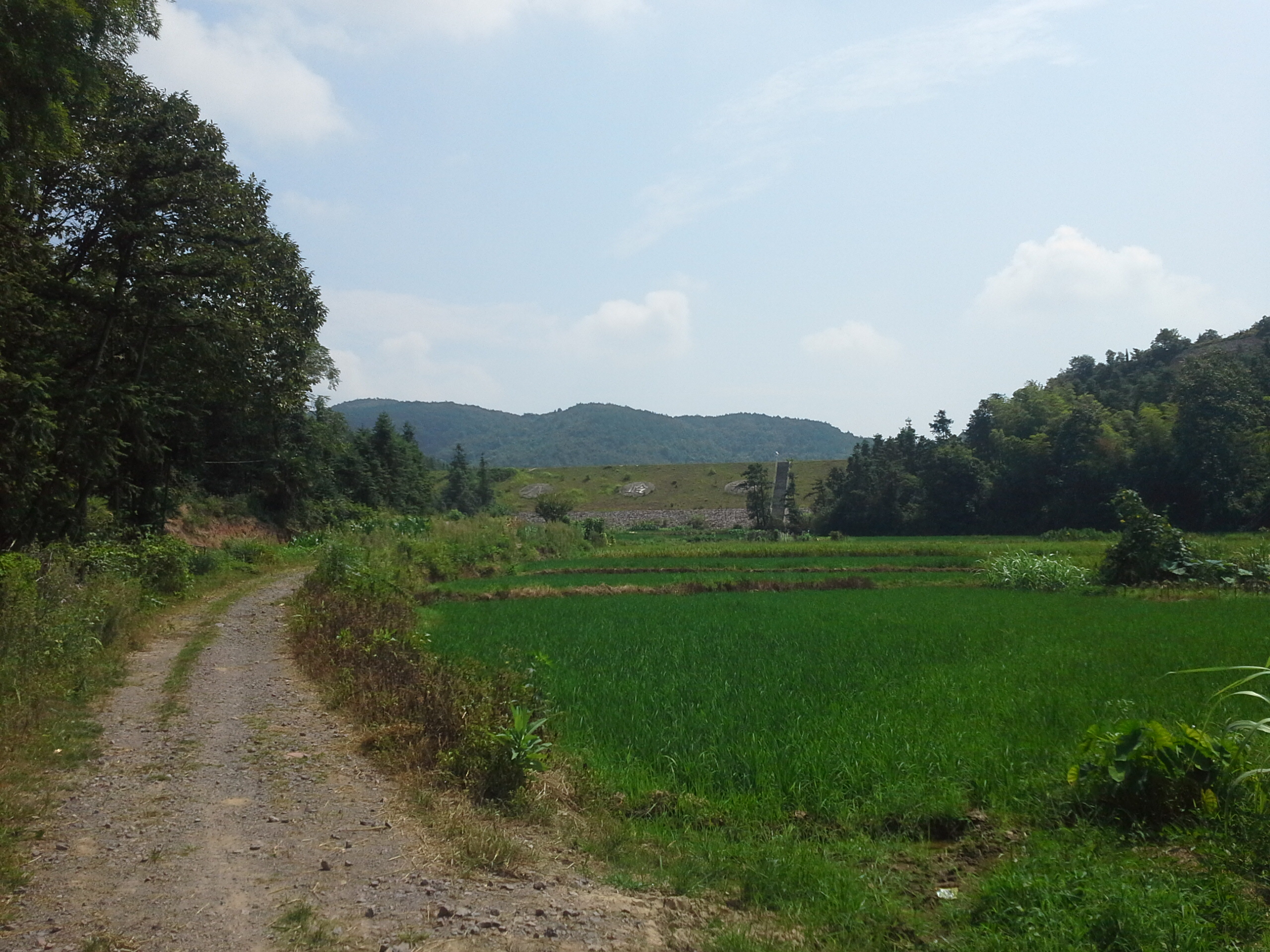 八岭科水库