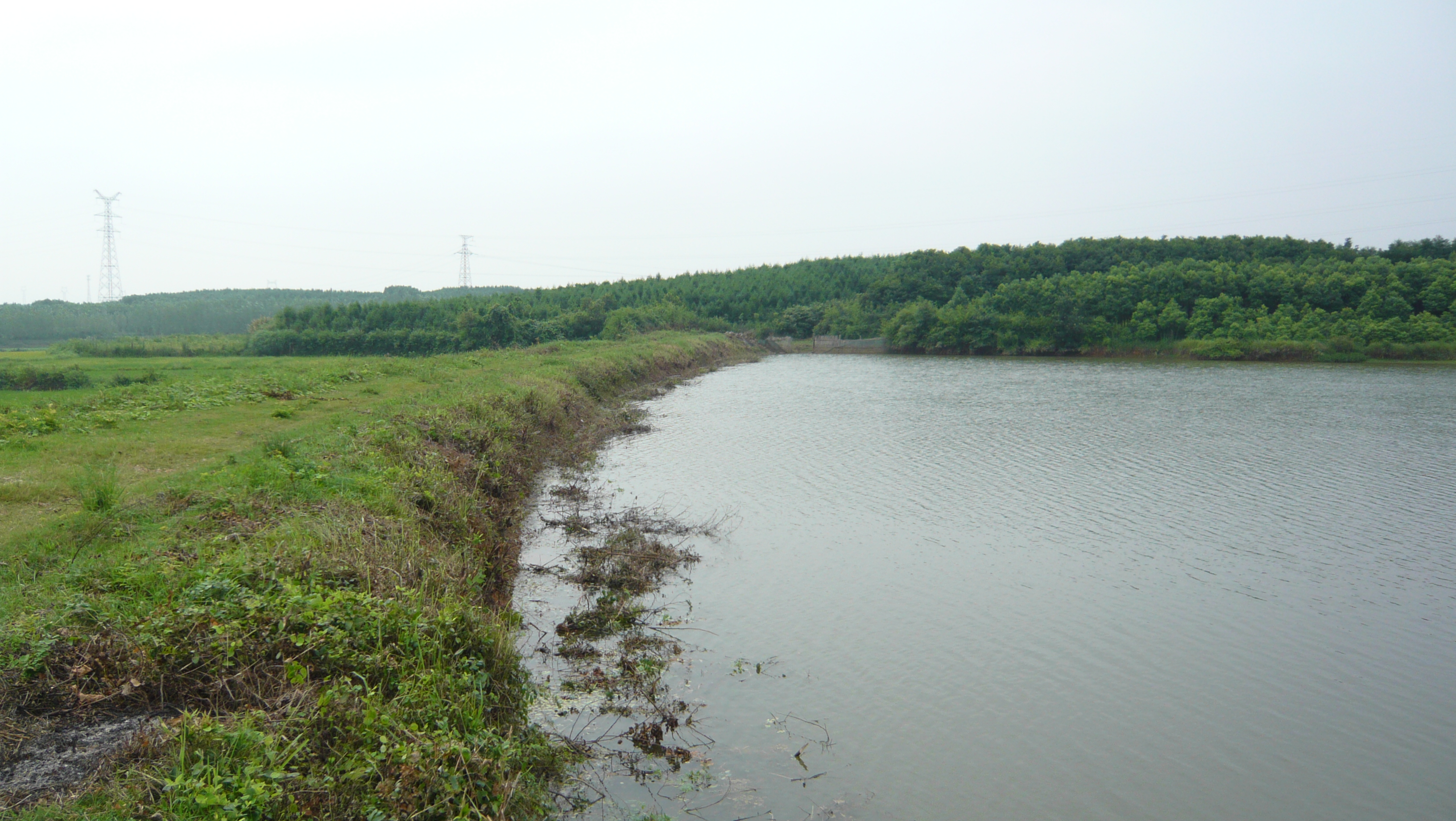 贺站水库