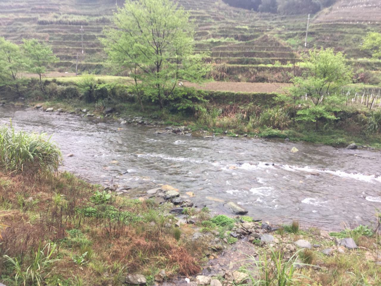 雨党河