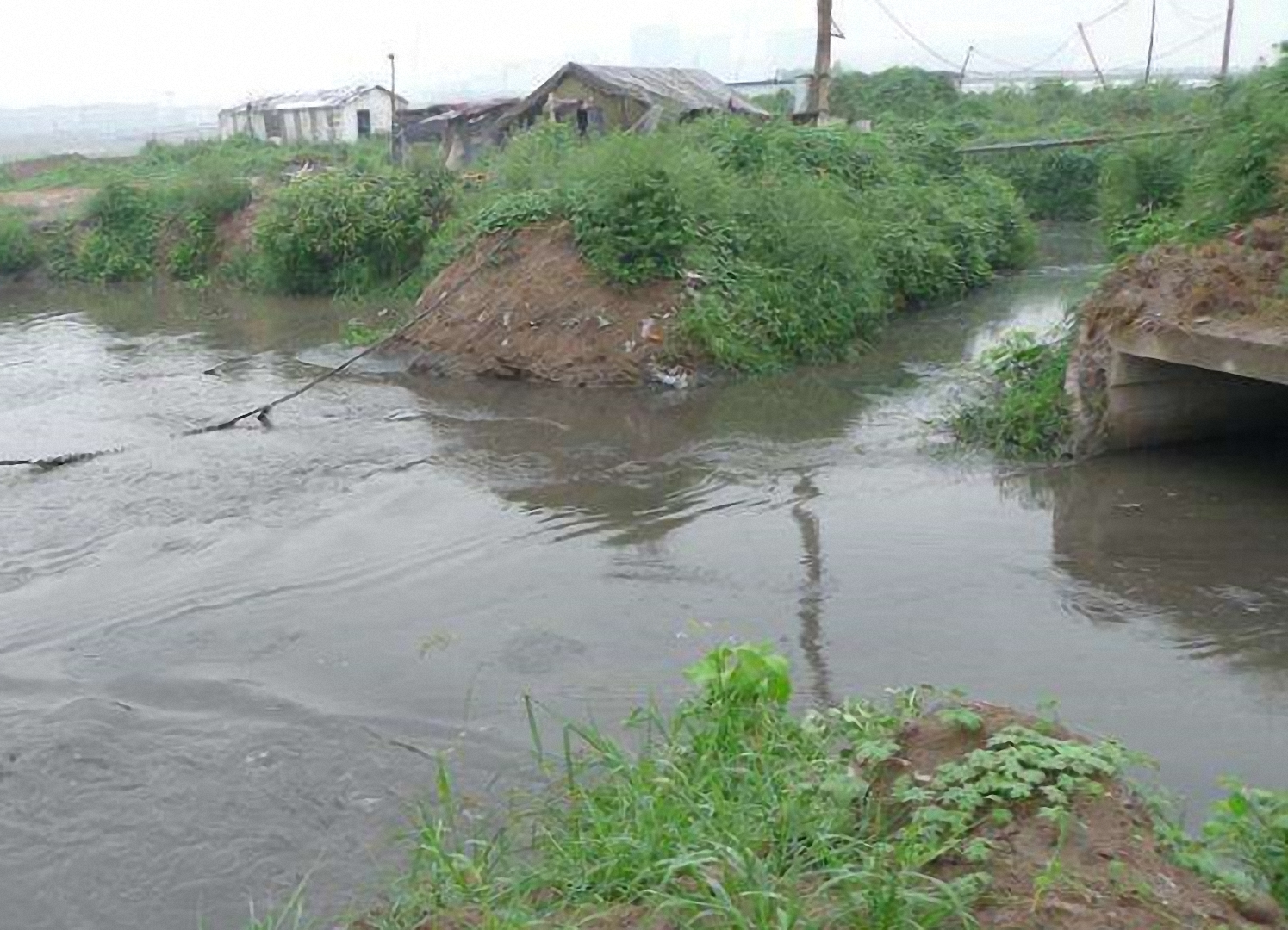 赤甸河河口