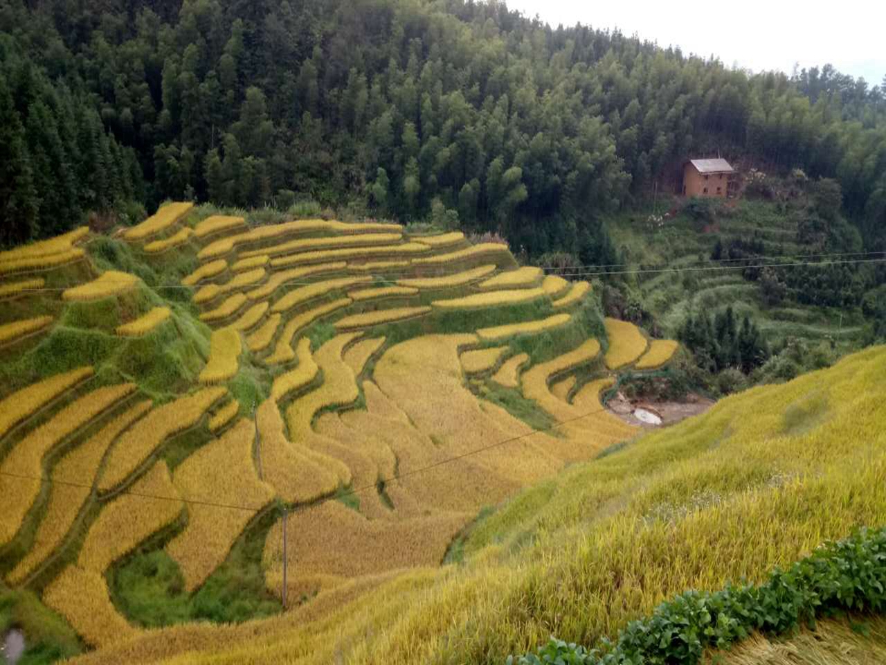 木梓排梯田民俗山庄景区