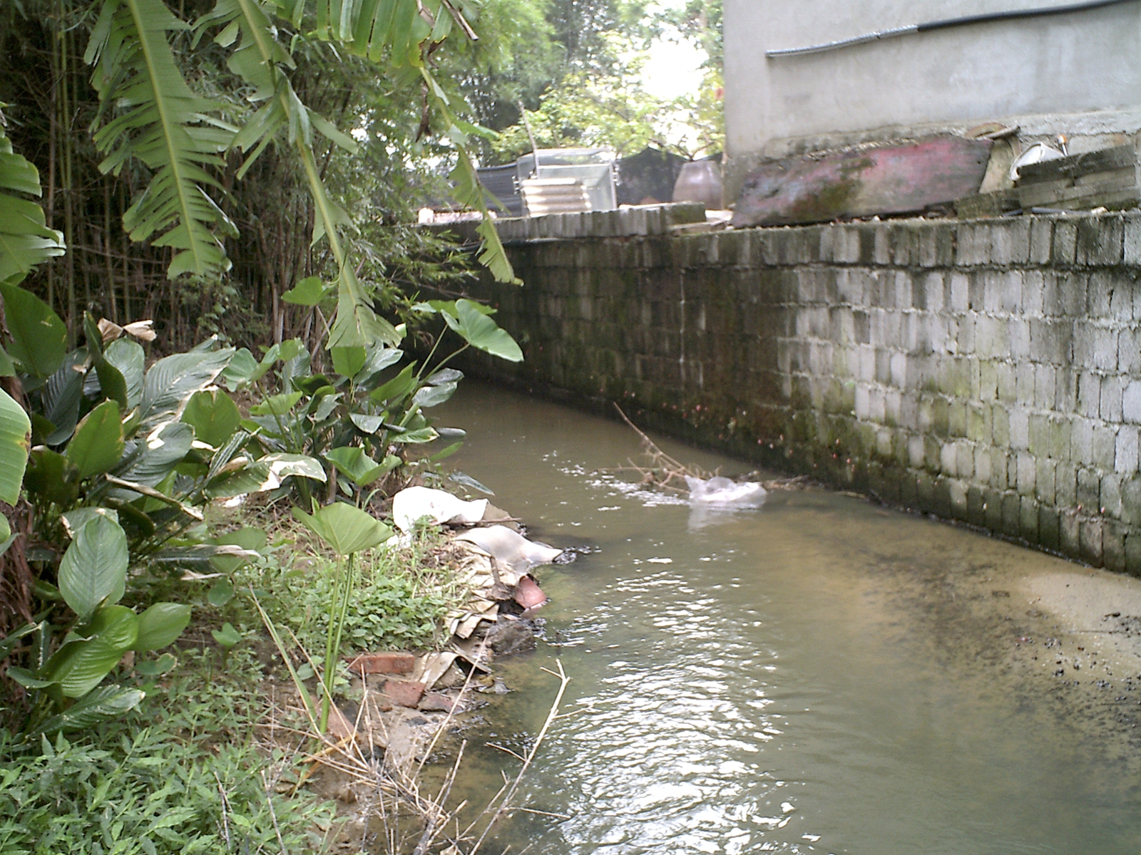 长龙沟