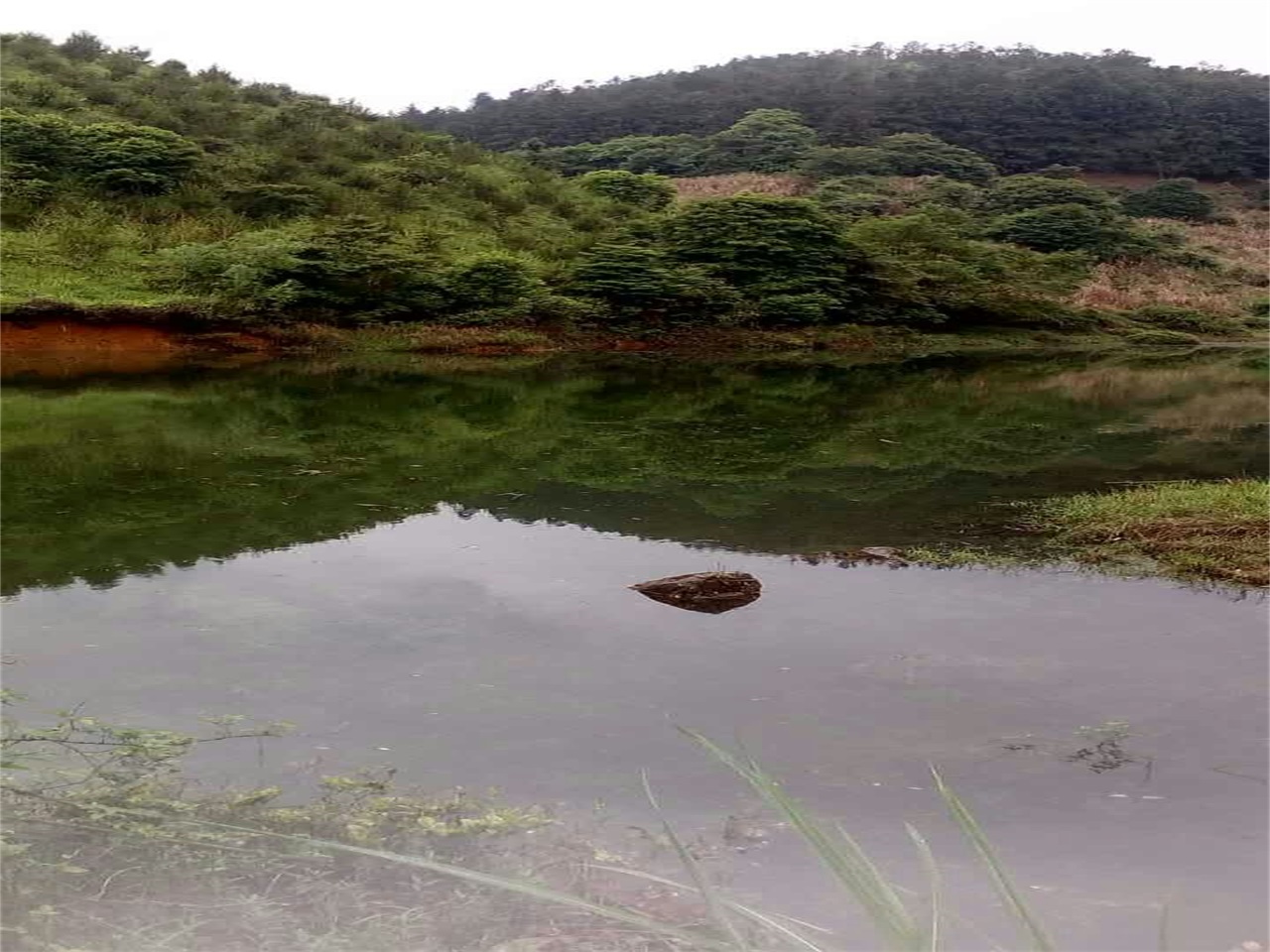 坪洋顶水库