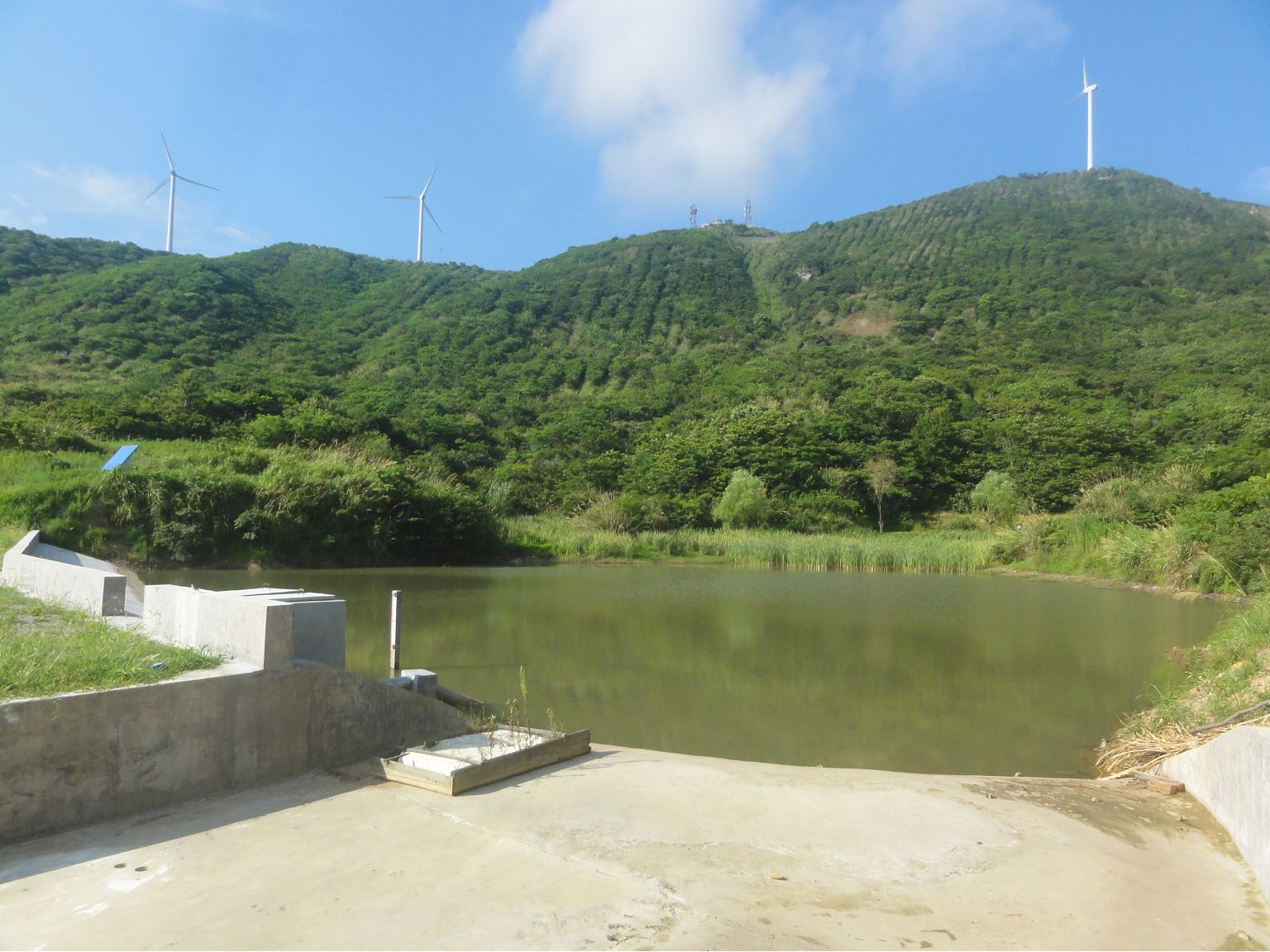 鸡冠礁峙坑山塘