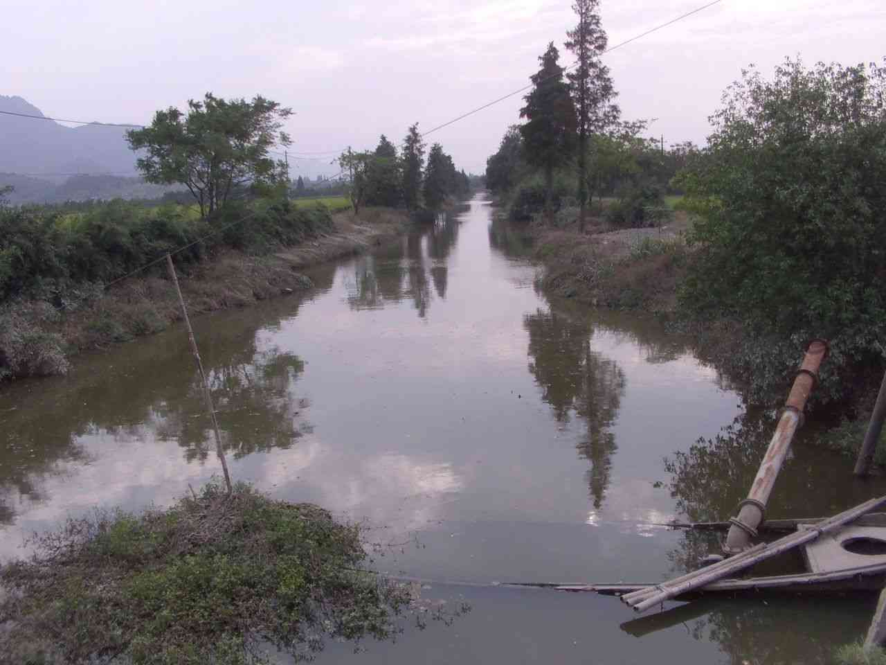 杨四岙江