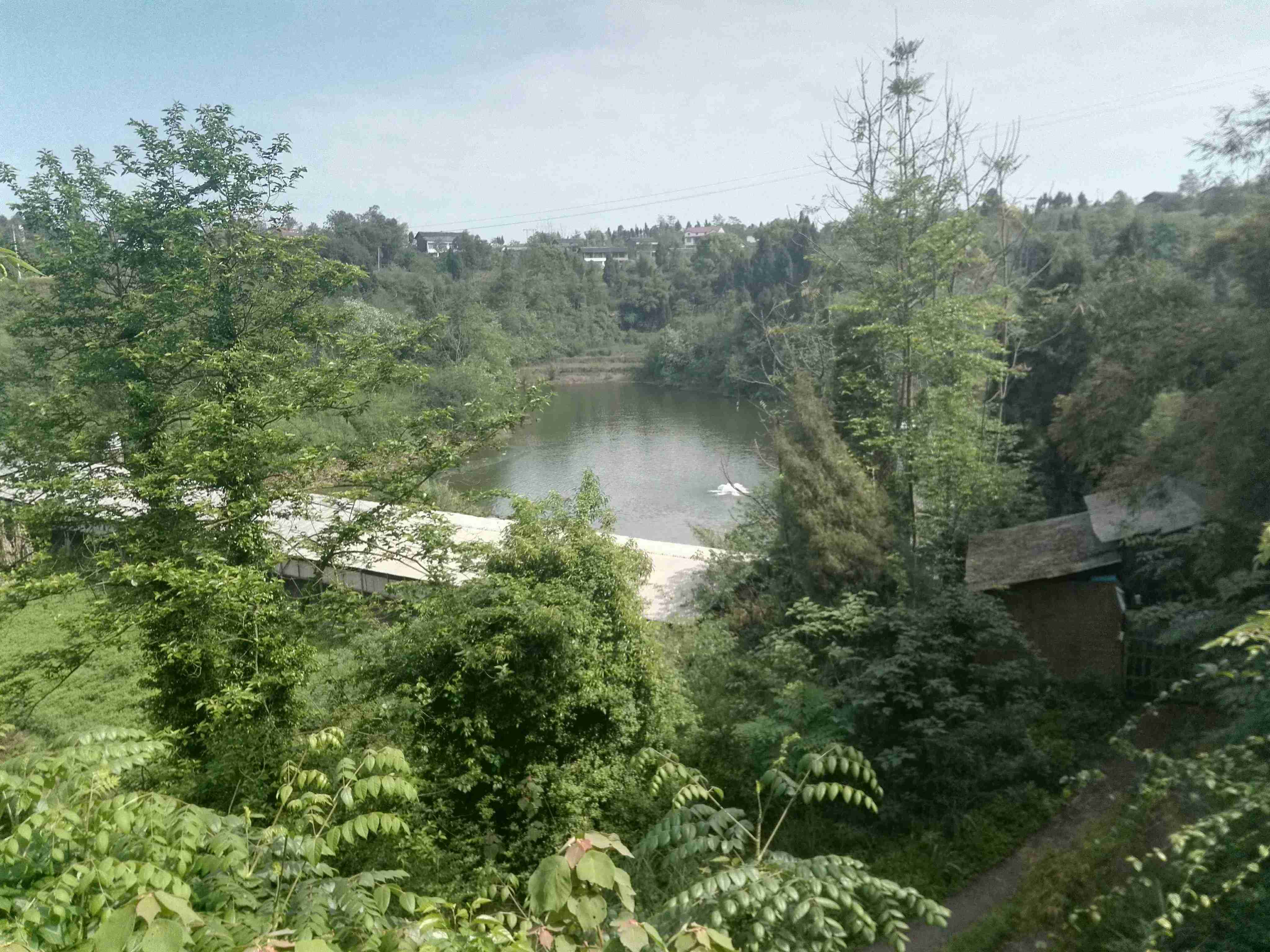 竹林湾水库