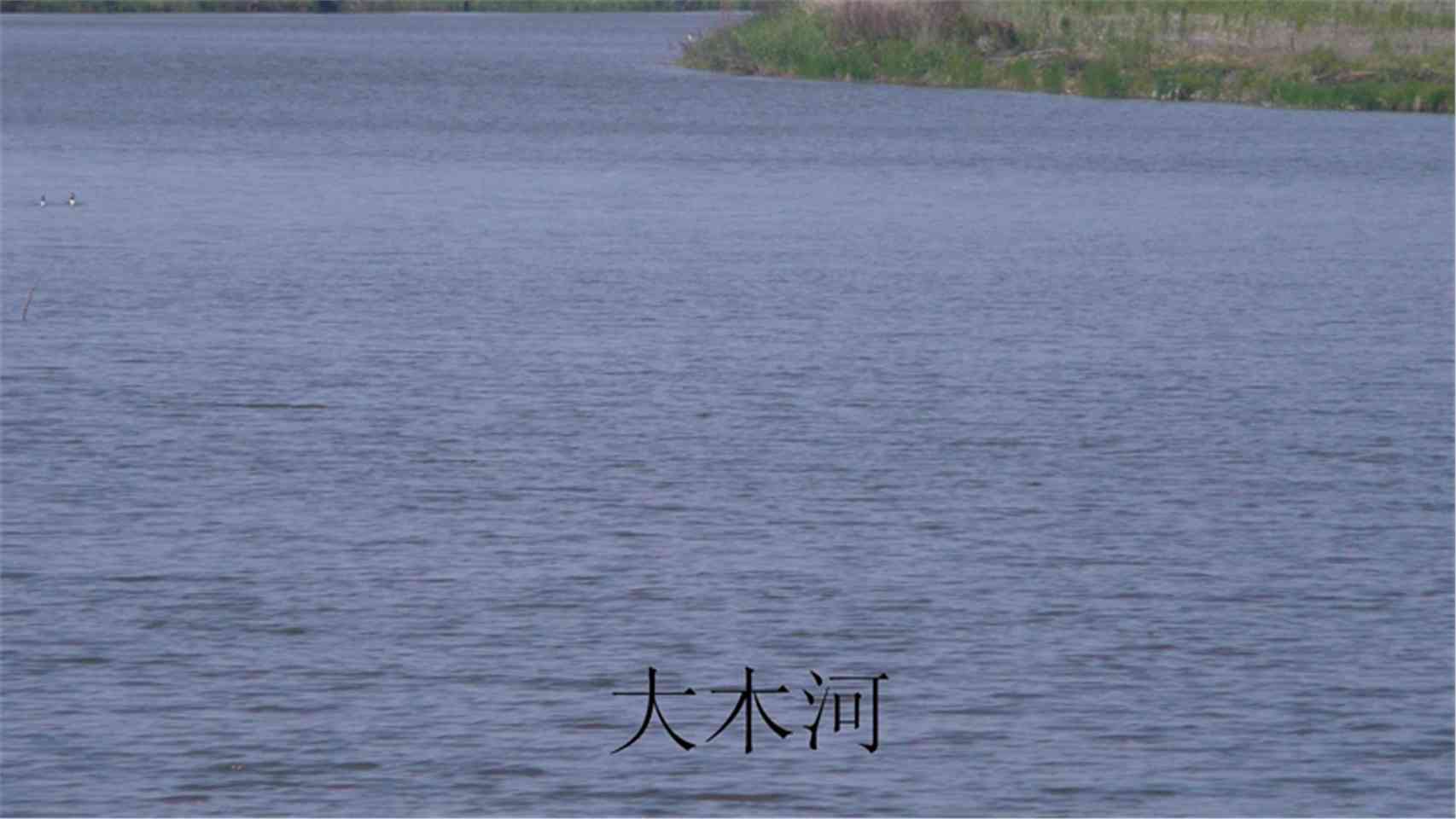 大木河