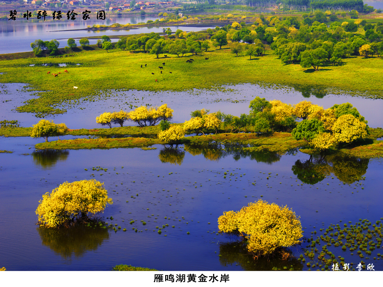 吉林雁鸣湖国家级自然保护区