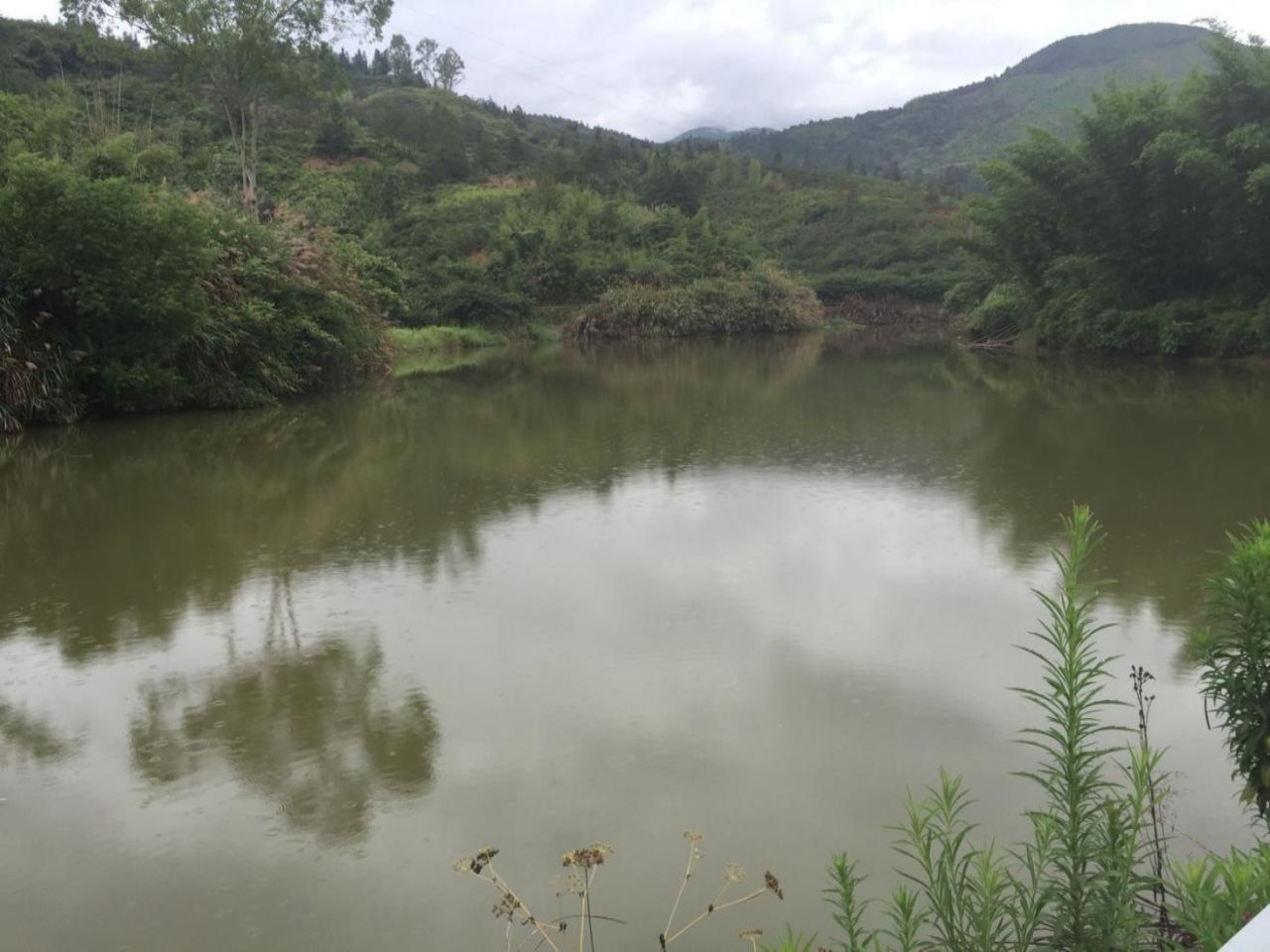 后坑里水库