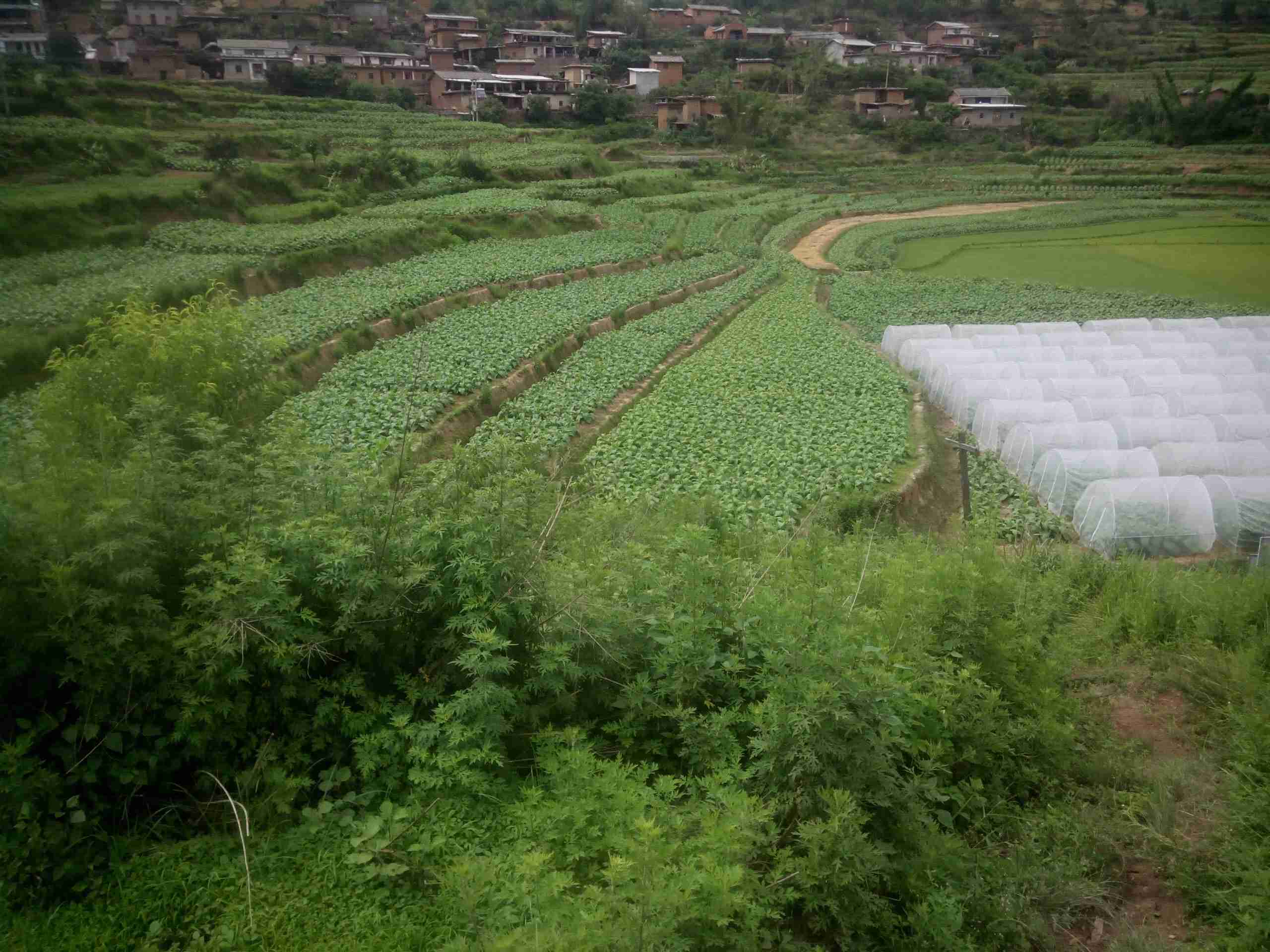 大海田坝水库