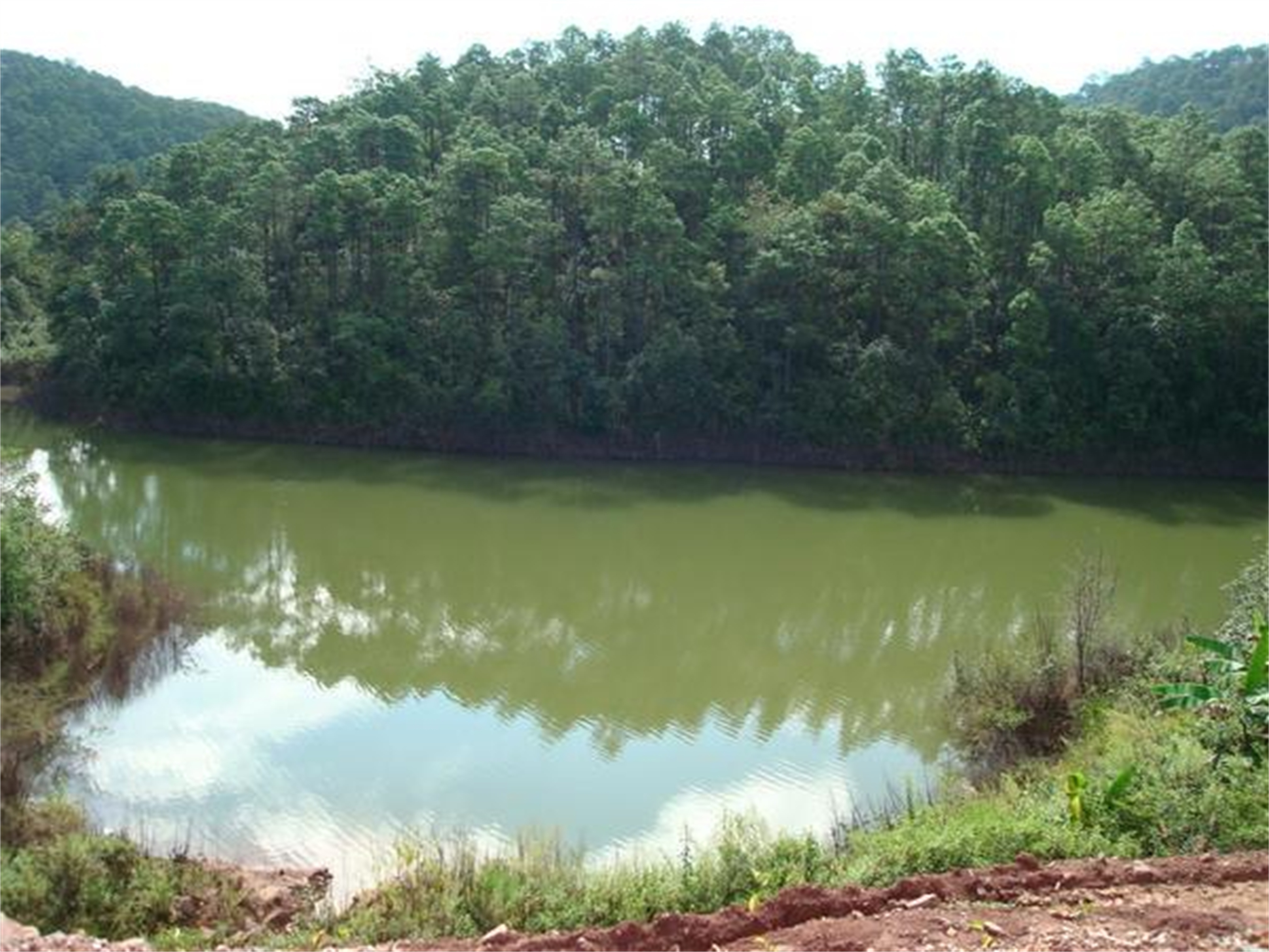 黄草林水库