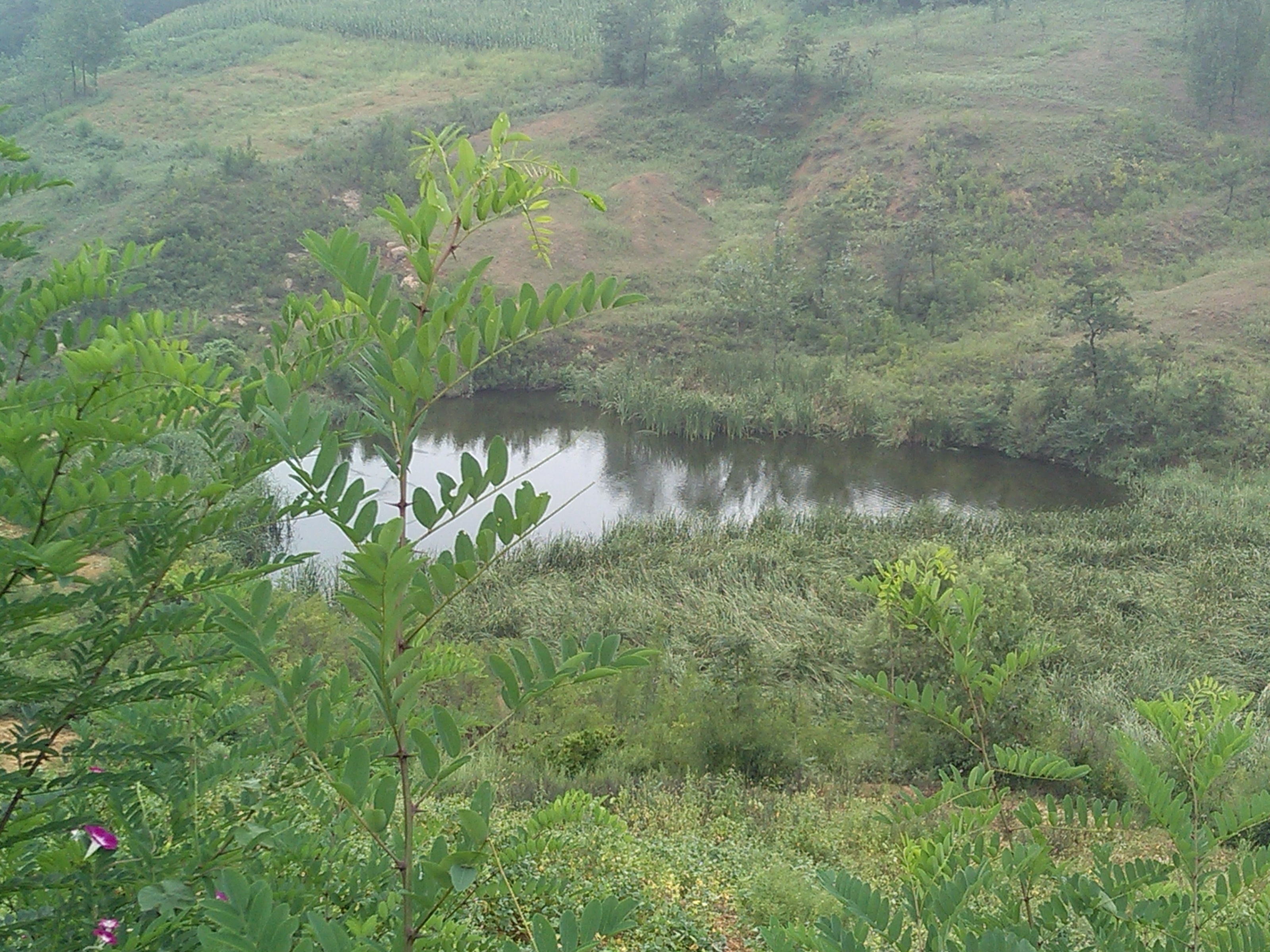 头峪下沟水库